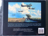 Air Combat Paintings : Masterworks Collection [Paperback] Taylor, Robert