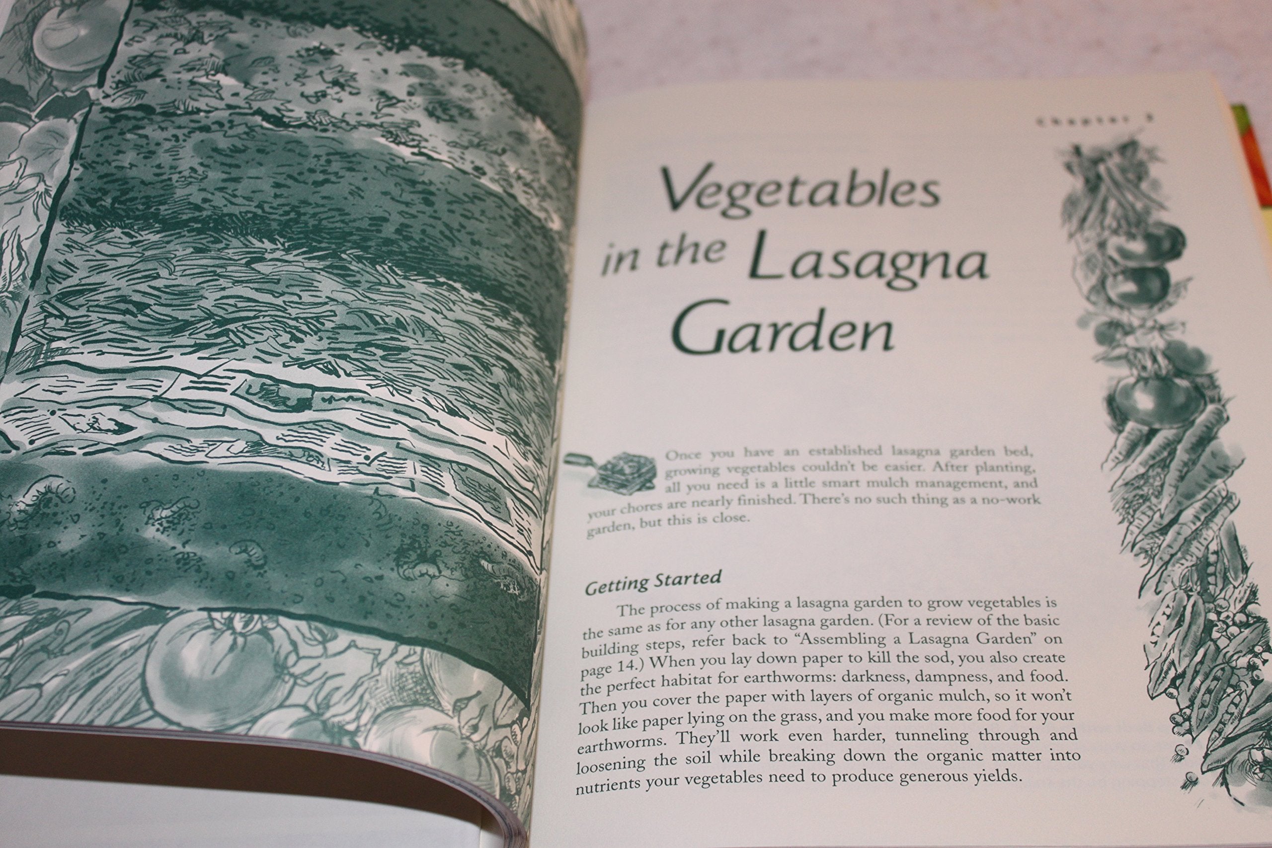 Lasagna Gardening: A New Layering System for Bountiful Gardens: No Digging, No Tilling, No Weeding, No Kidding!