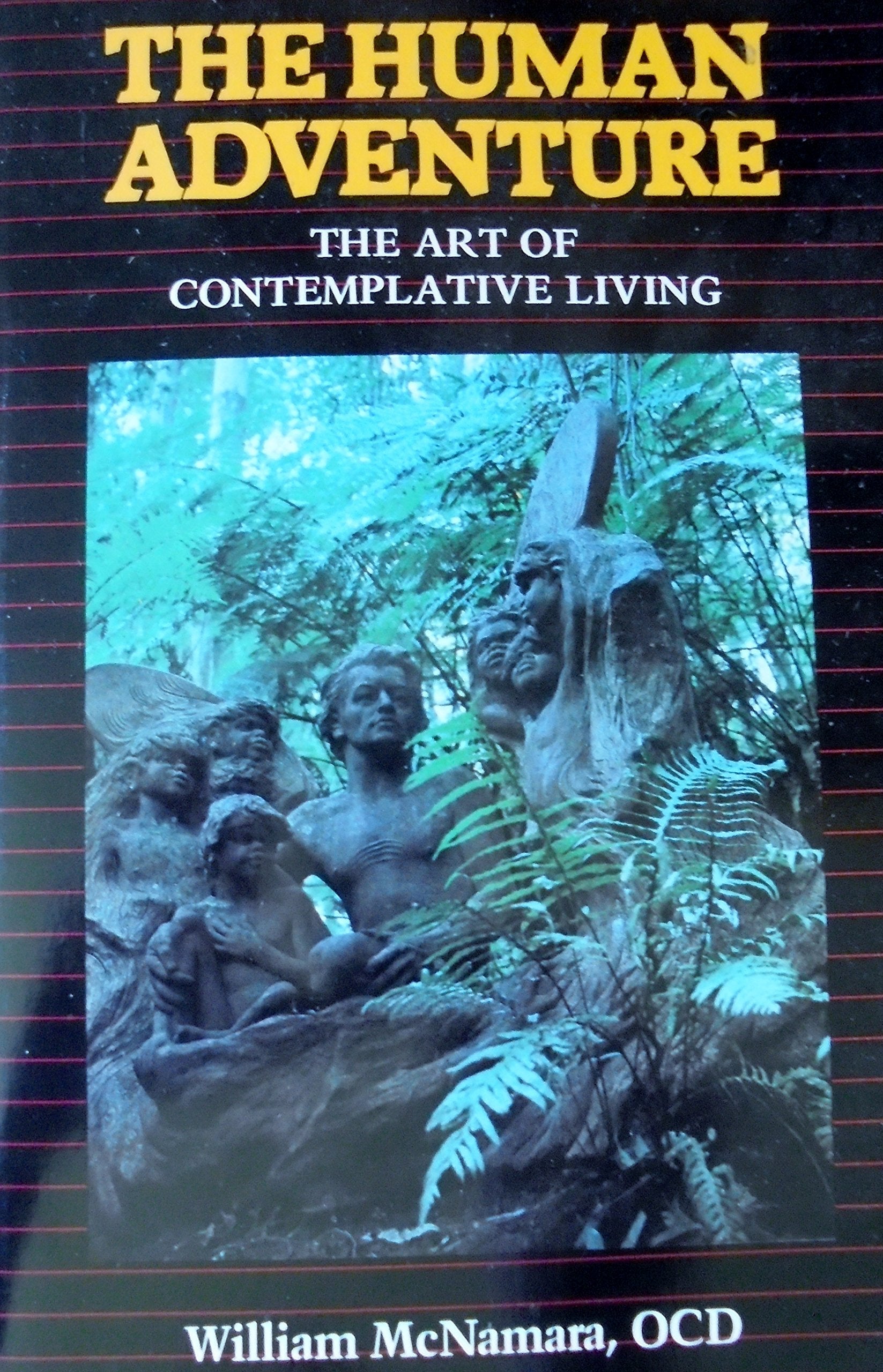 The Human Adventure: The Art of Contemplative Living used book depot