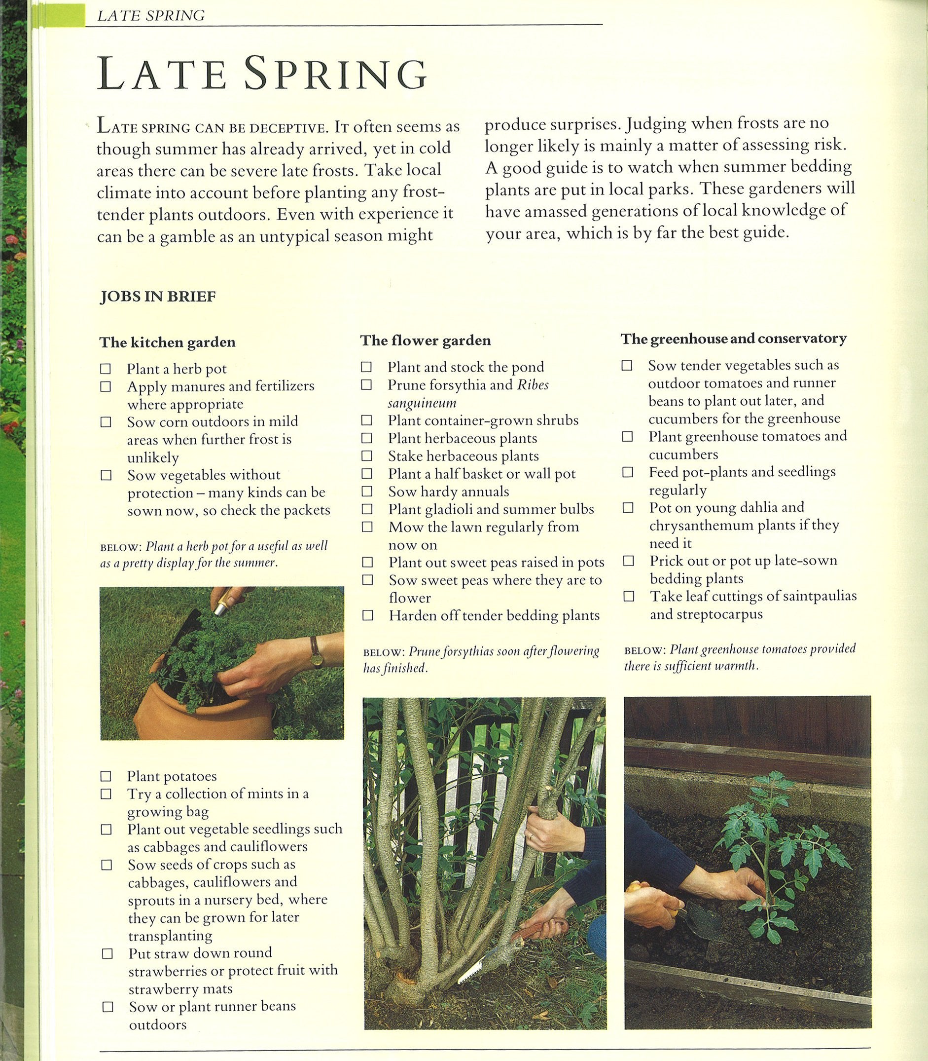 Gardening Through the Year: A Step-By-Step Guide to Seasonal Gardening Tasks