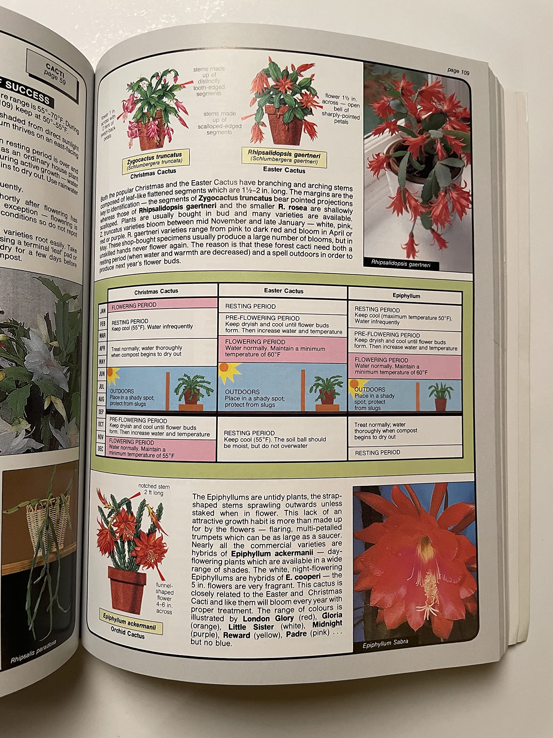 The House Plant Expert (Expert Series) used book depot