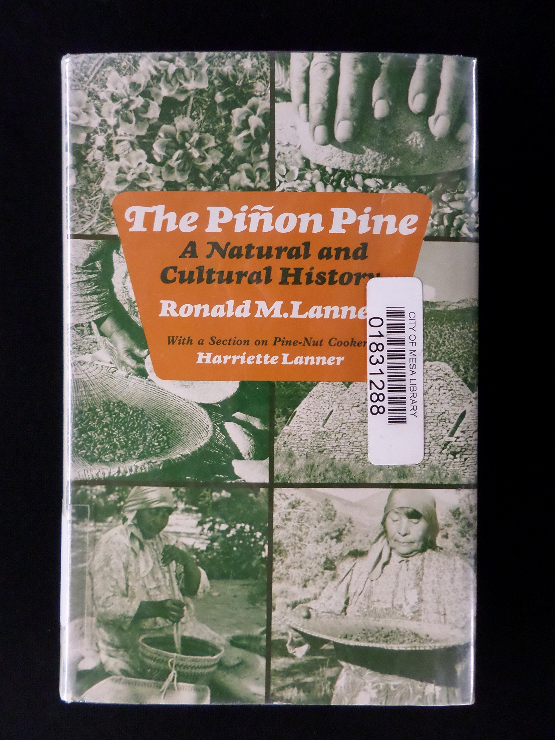 The Pinon Pine: A Natural and Cultural History used book depot