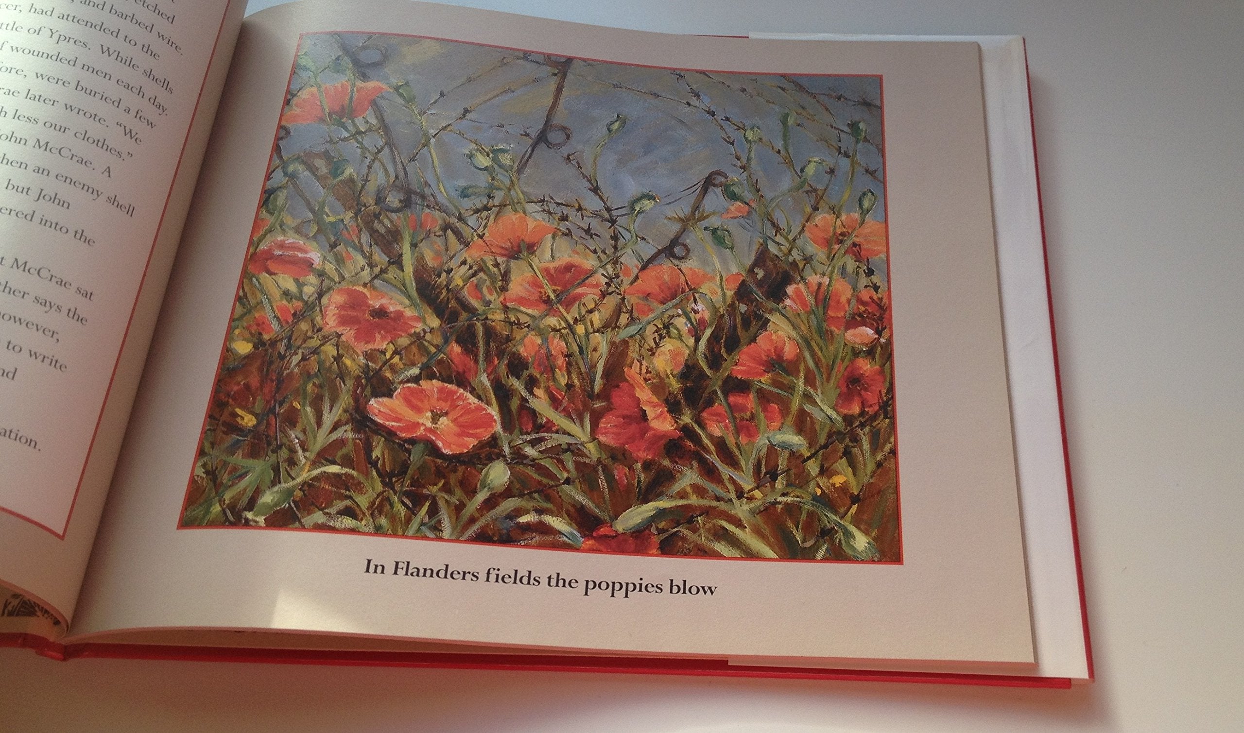 In Flanders Field: The Story of the Poem used book depot