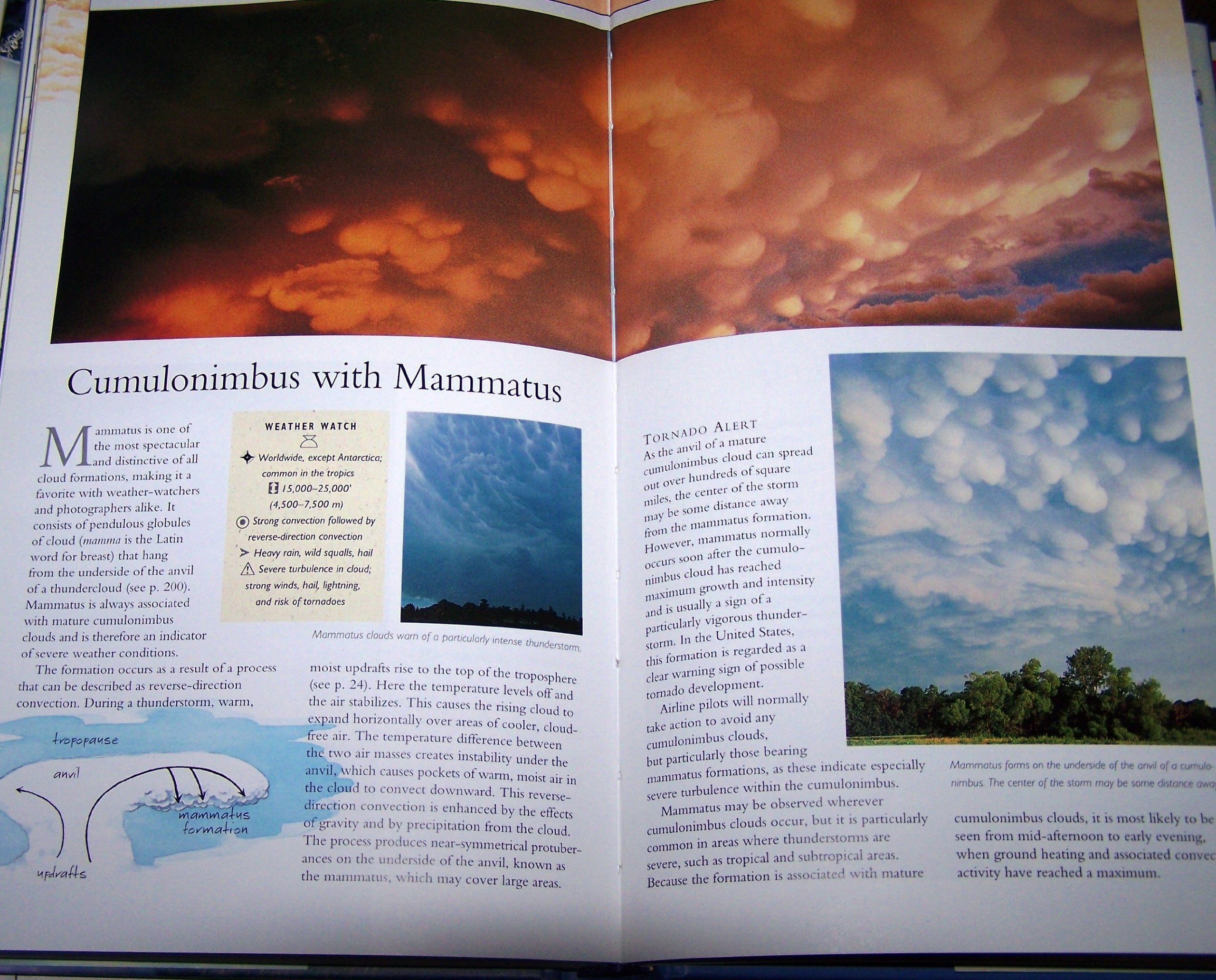 Weather: Nature Company Guides used book depot