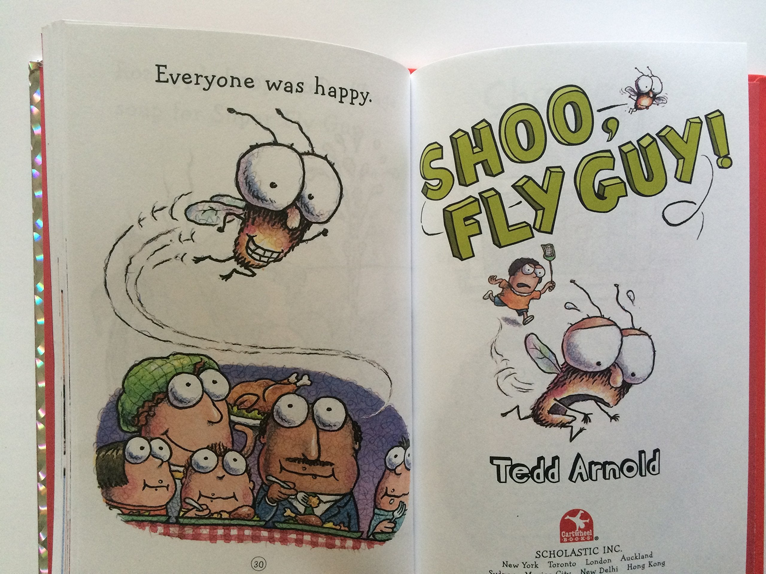 Fly Guy Reader Collection used book depot