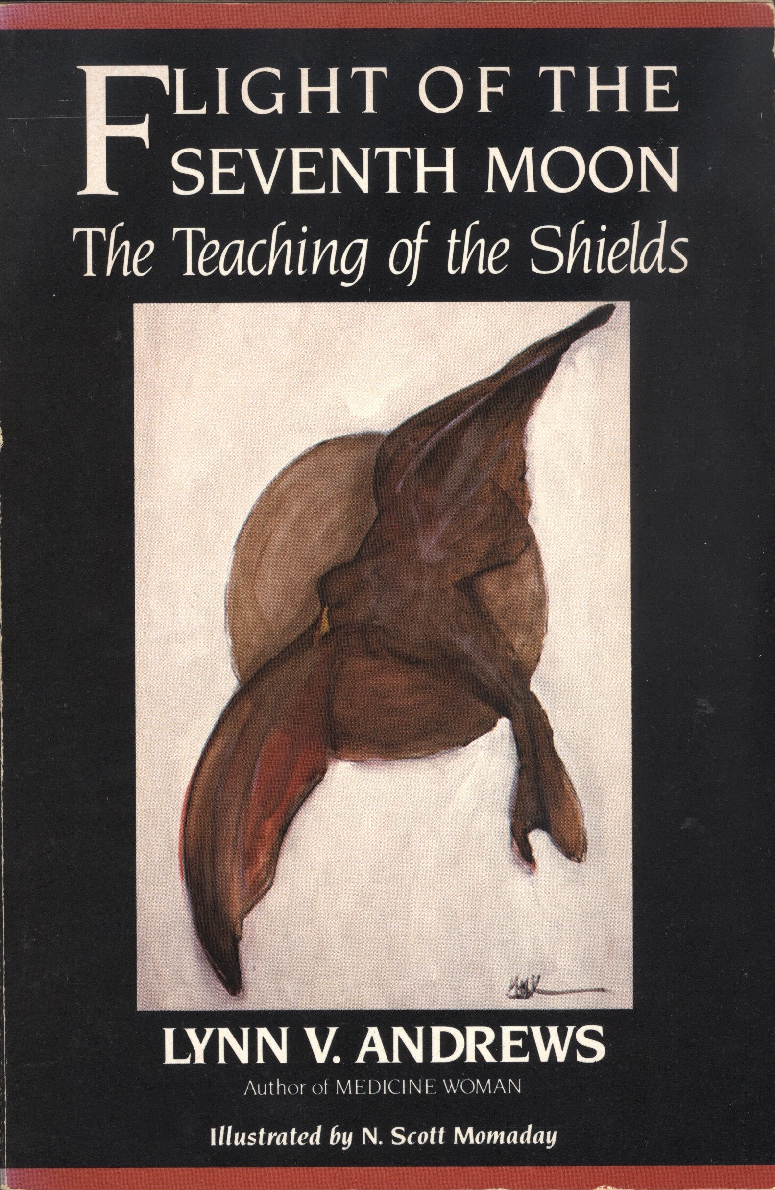 The Flight of the Seventh Moon: The Teaching of the Shields used book depot