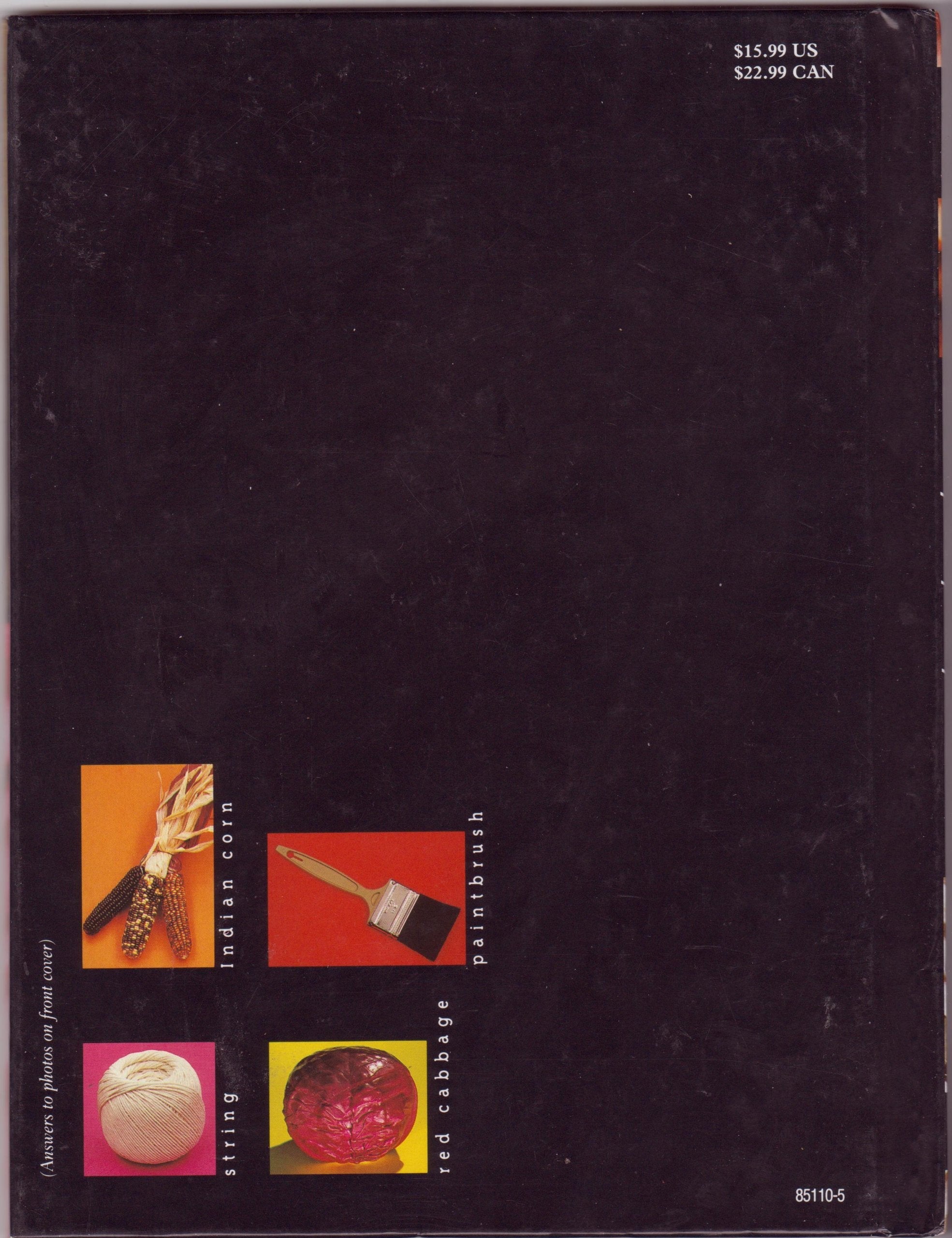Everyday Mysteries used book depot