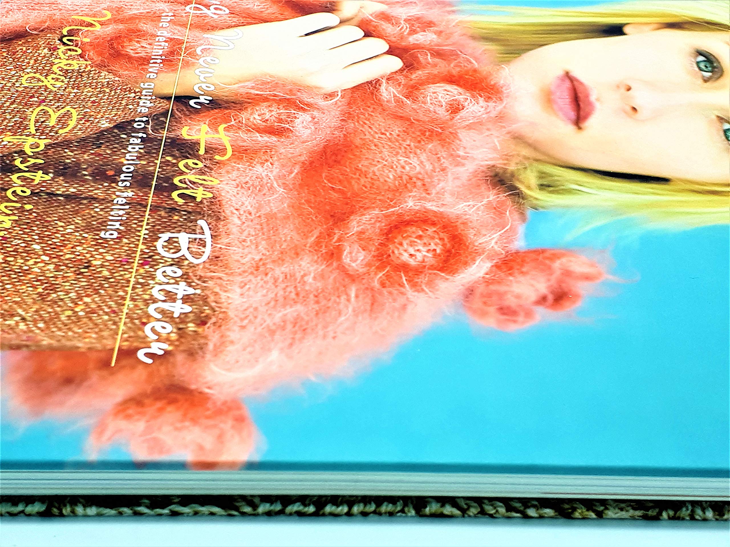 Knitting Never Felt Better: The Definitive Guide to Fabulous Felting used book depot