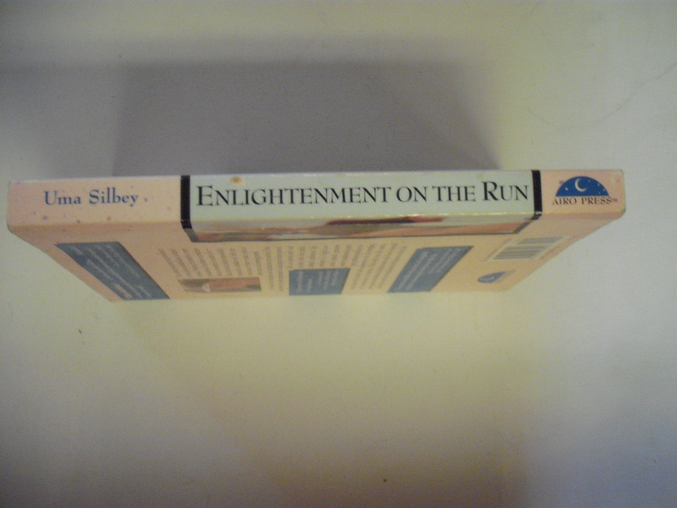 Enlightenment on the Run: Everyday Life As a Spiritual Path used book depot