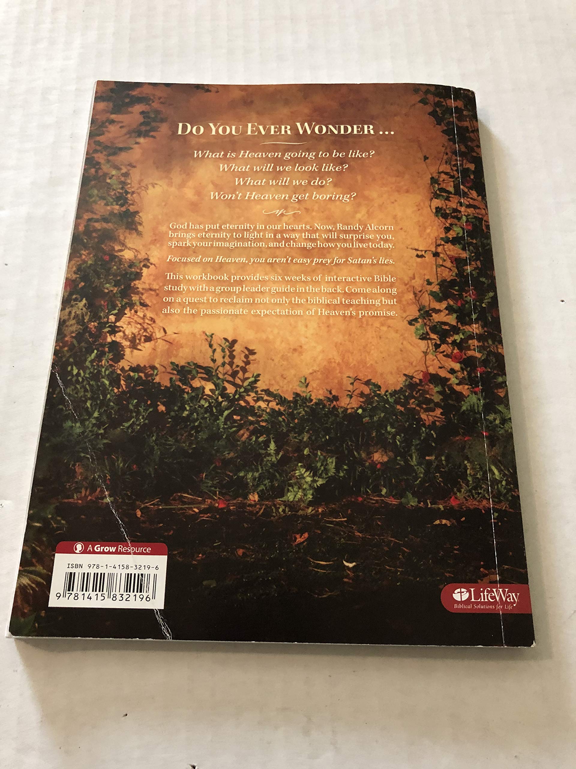 Heaven - Bible Study Book used book depot