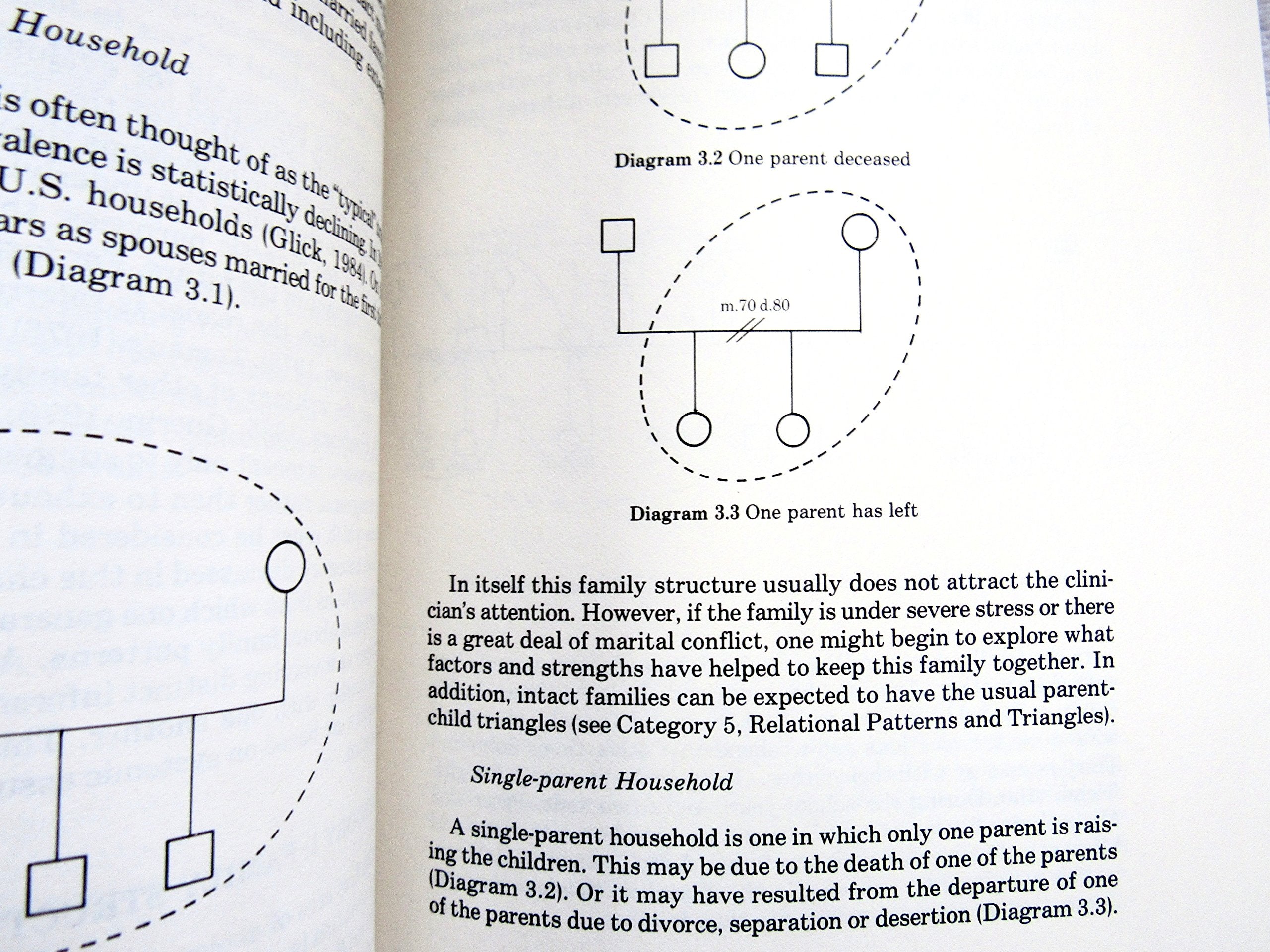 Genograms in Family Assessment used book depot