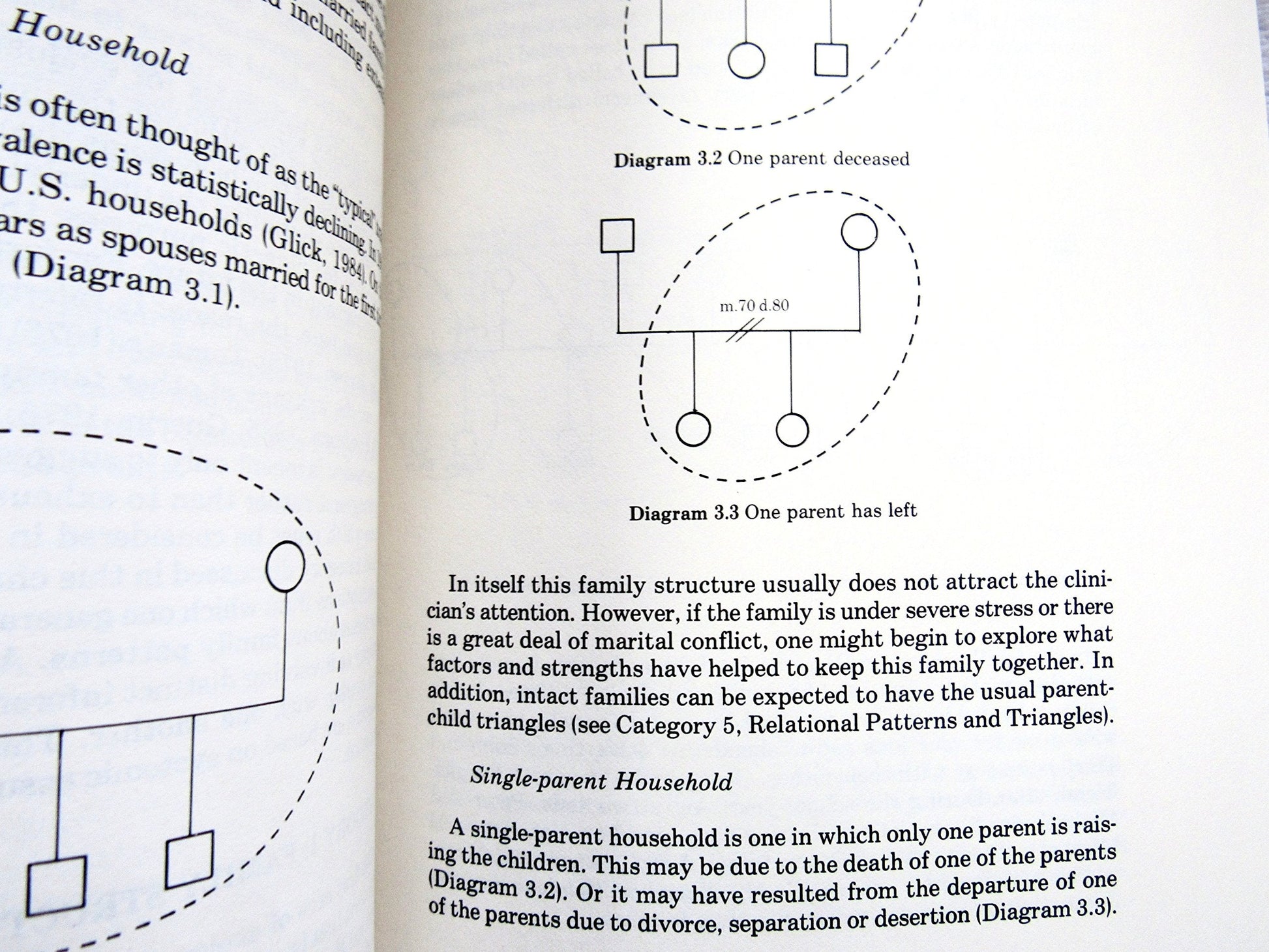Genograms in Family Assessment used book depot
