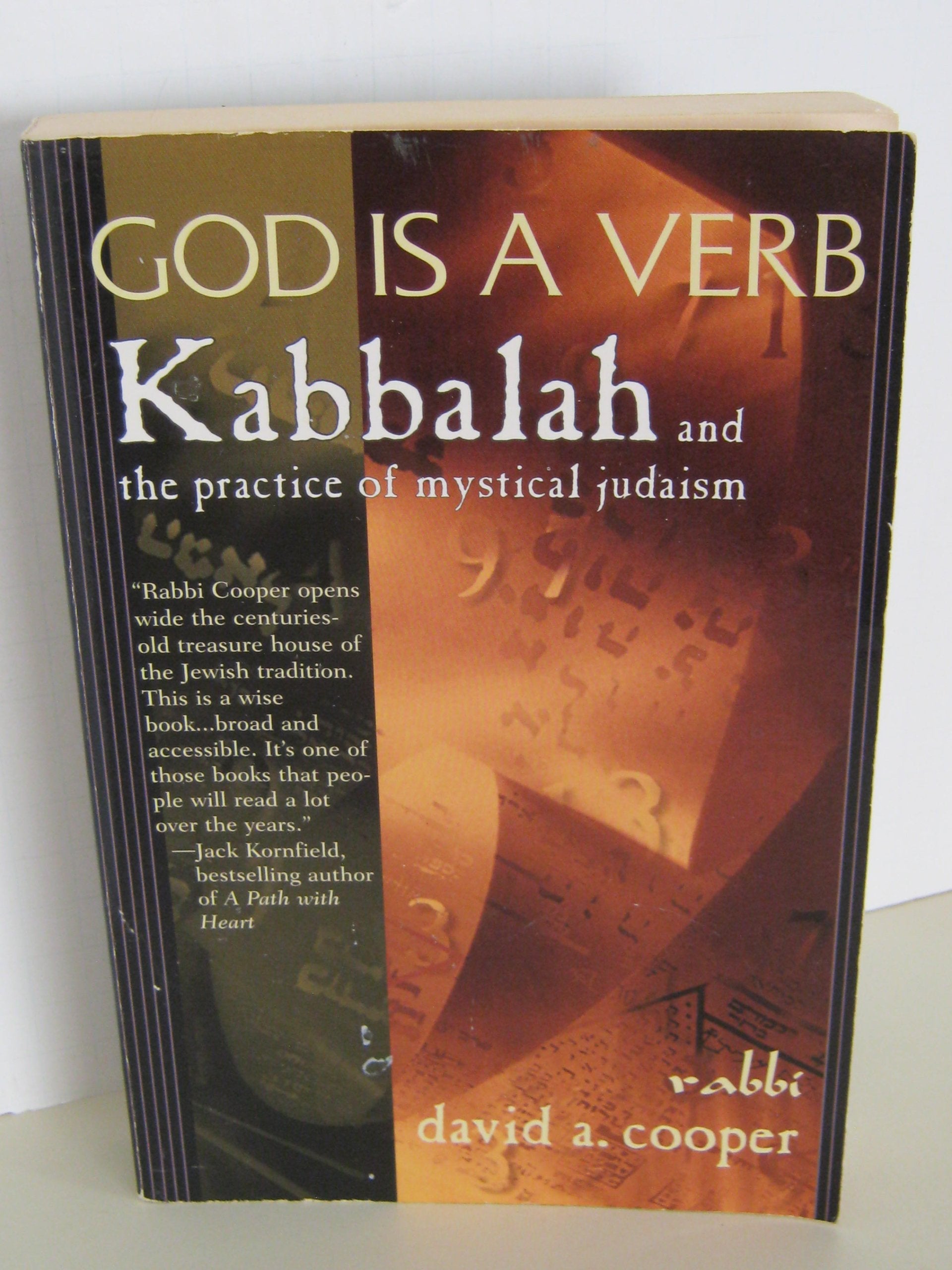 God Is a Verb: Kabbalah and the Practice of Mystical Judaism used book depot