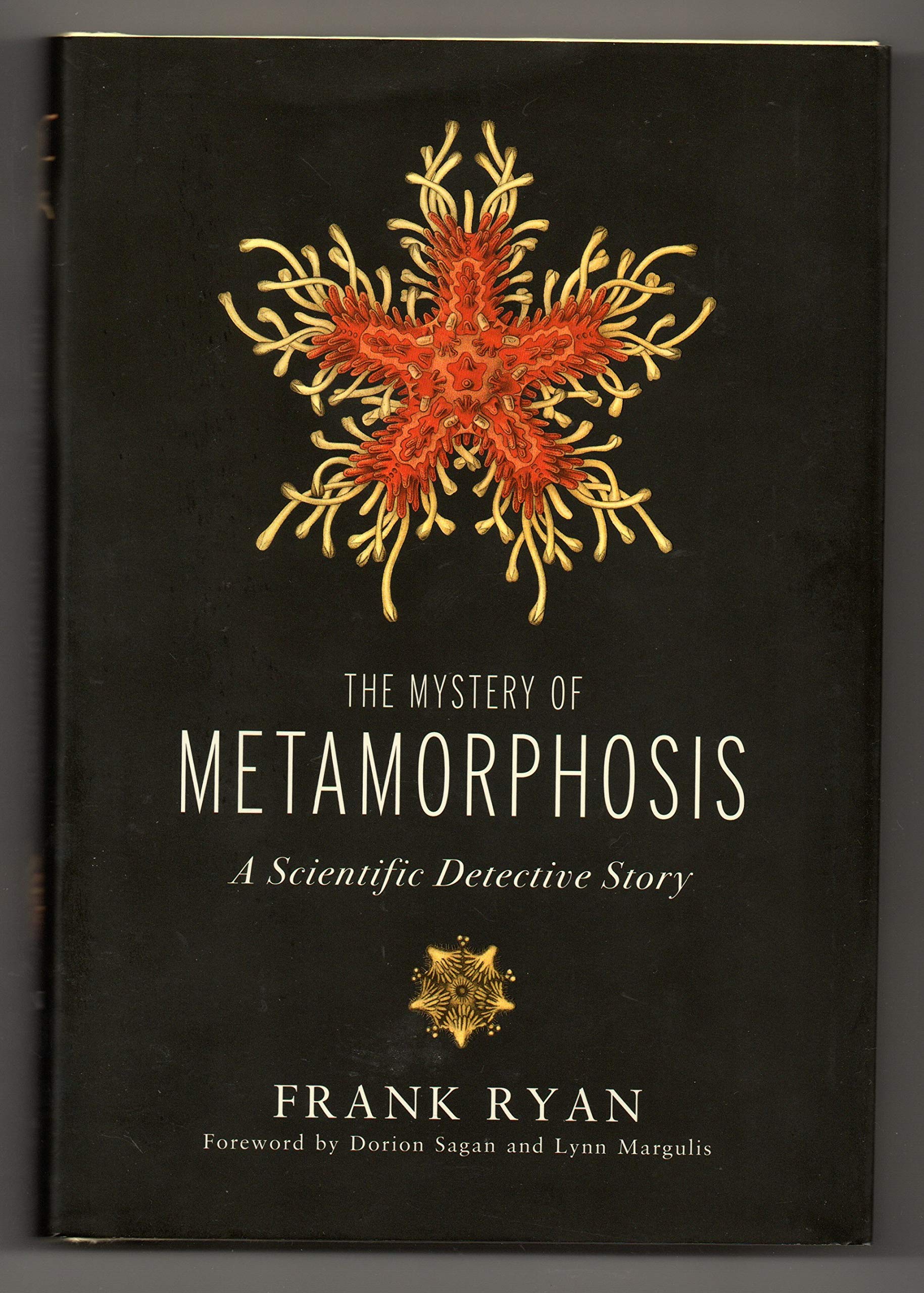 The Mystery of Metamorphosis: A Scientific Detective Story (Sciencewriters) used book depot