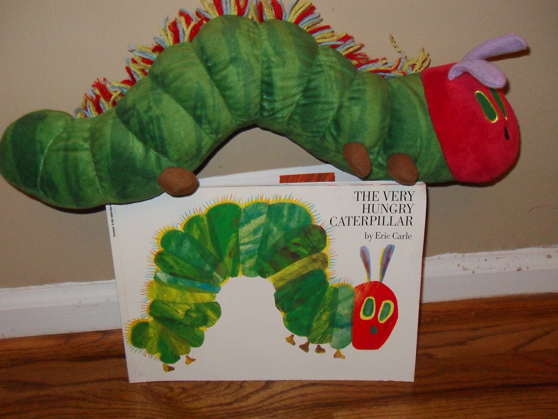 The Very Hungry Caterpillar used book depot