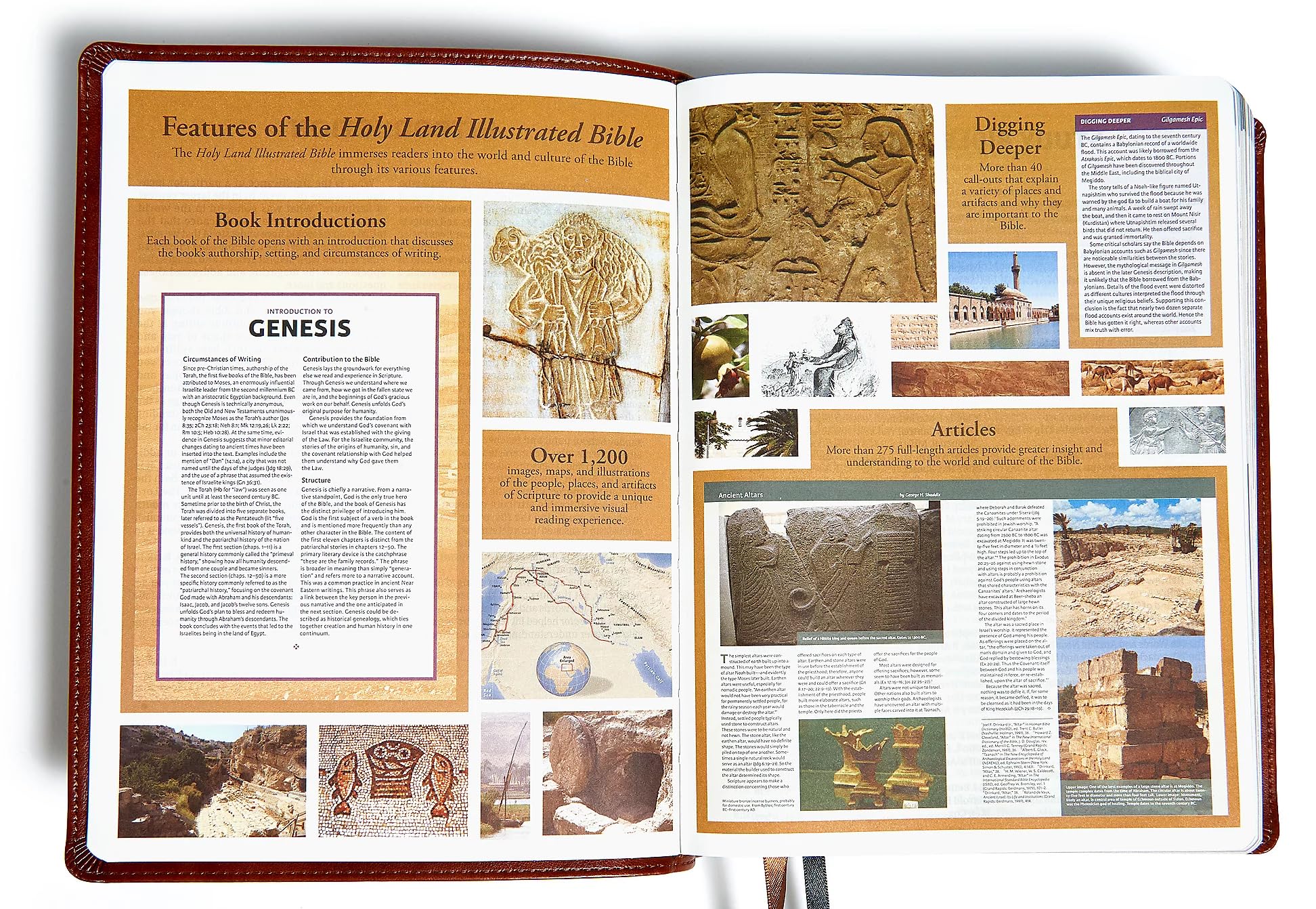 CSB Holy Land Illustrated Bible, Brown Leathertouch used book depot