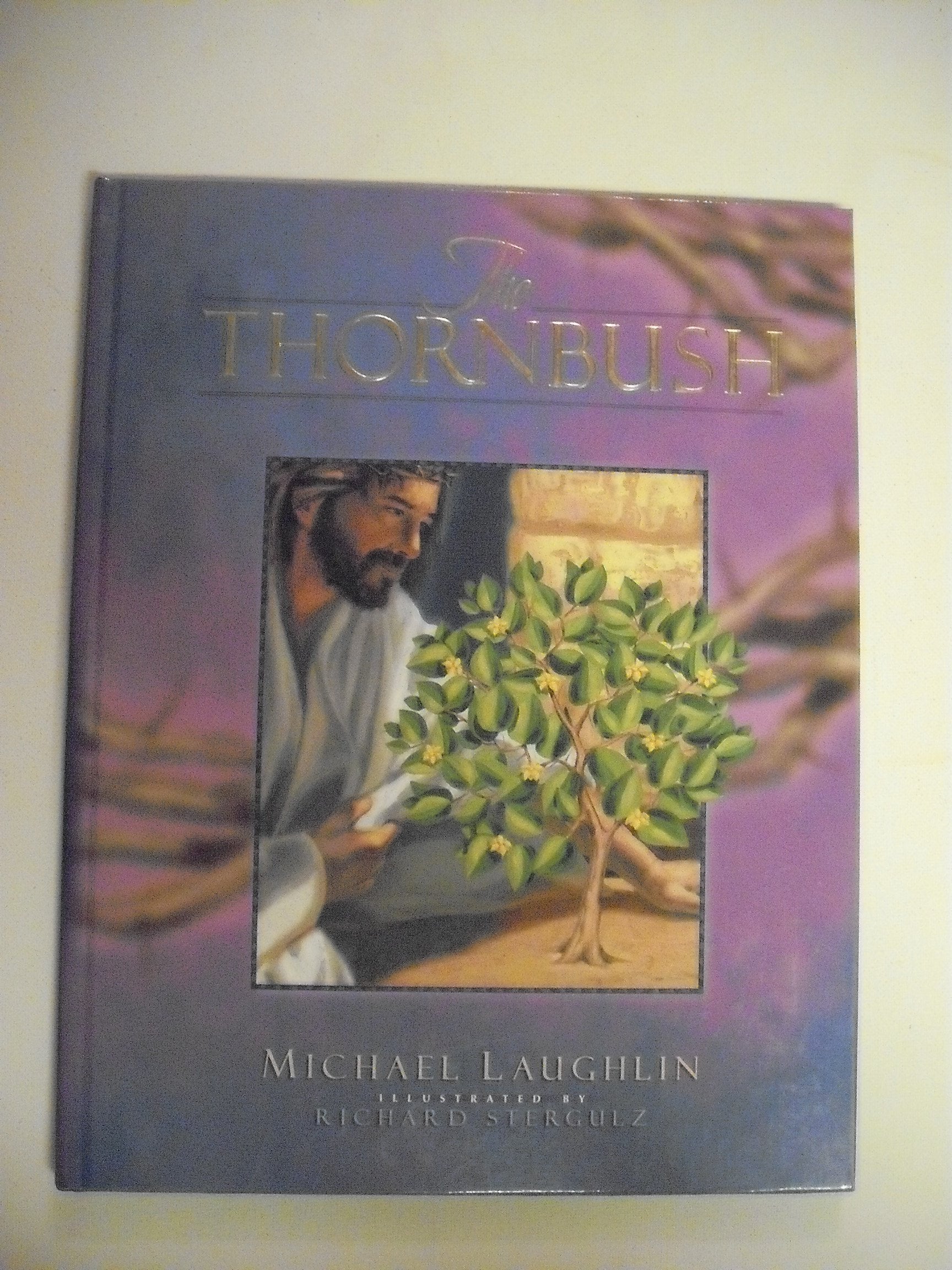 The Thornbush used book depot