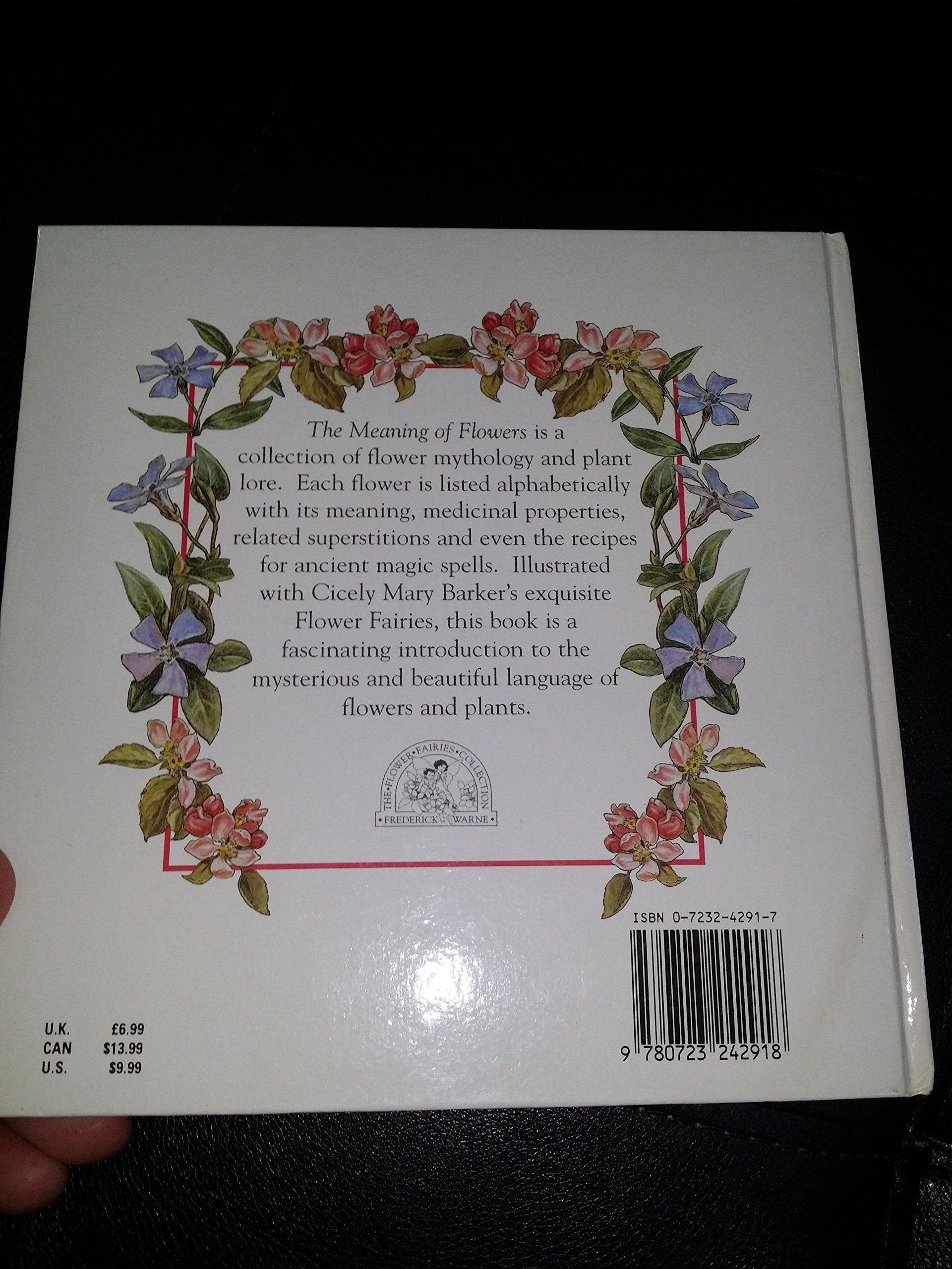 Flower Fairies: The Meaning of Flowers used book depot