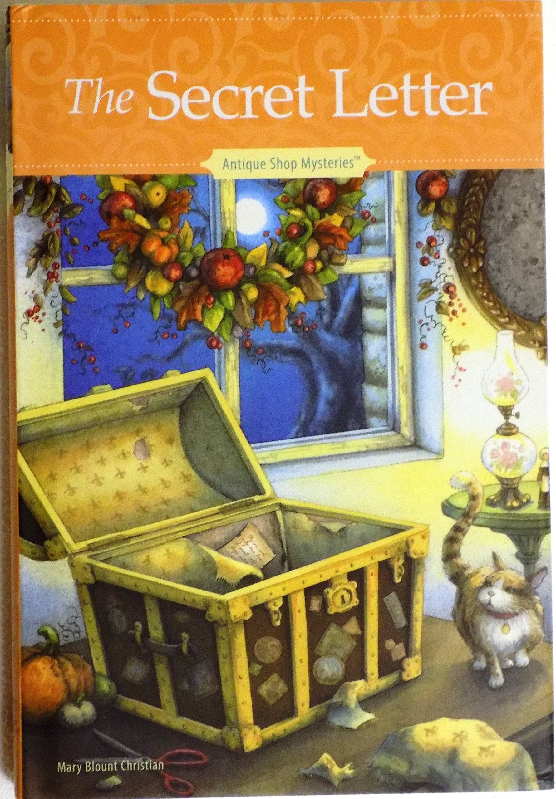 The Secret Letter used book depot