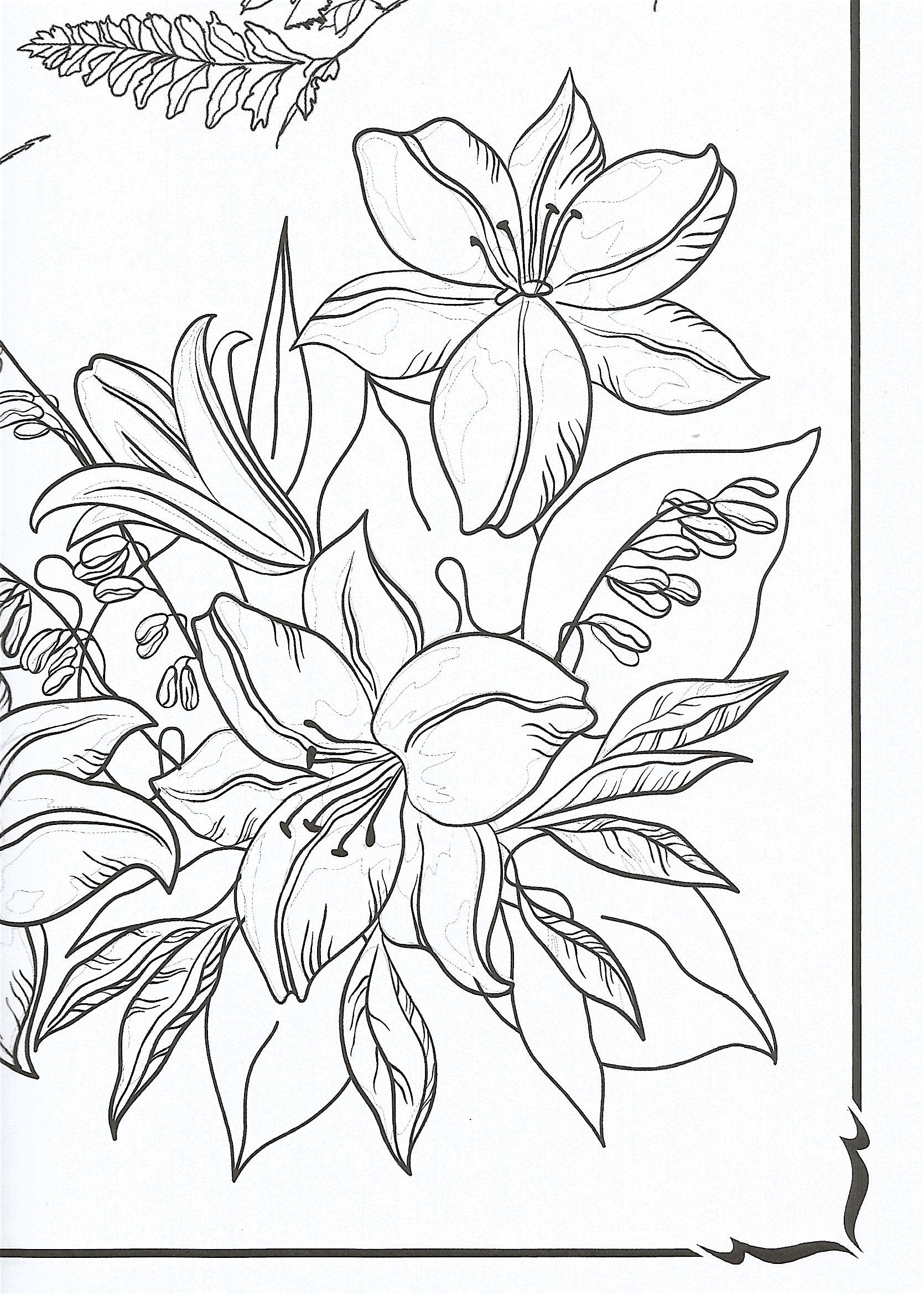 Flowers Coloring Book: Beautiful Pictures from the Garden of Nature (Chartwell Coloring Books, 2) used book depot