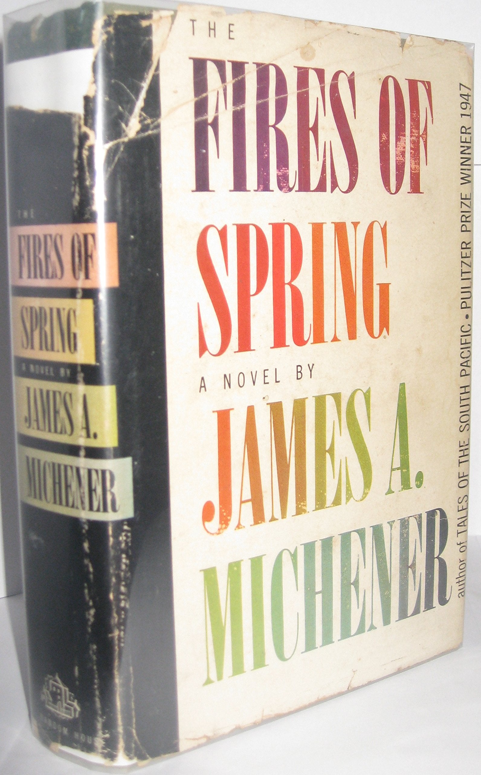 The Novel
