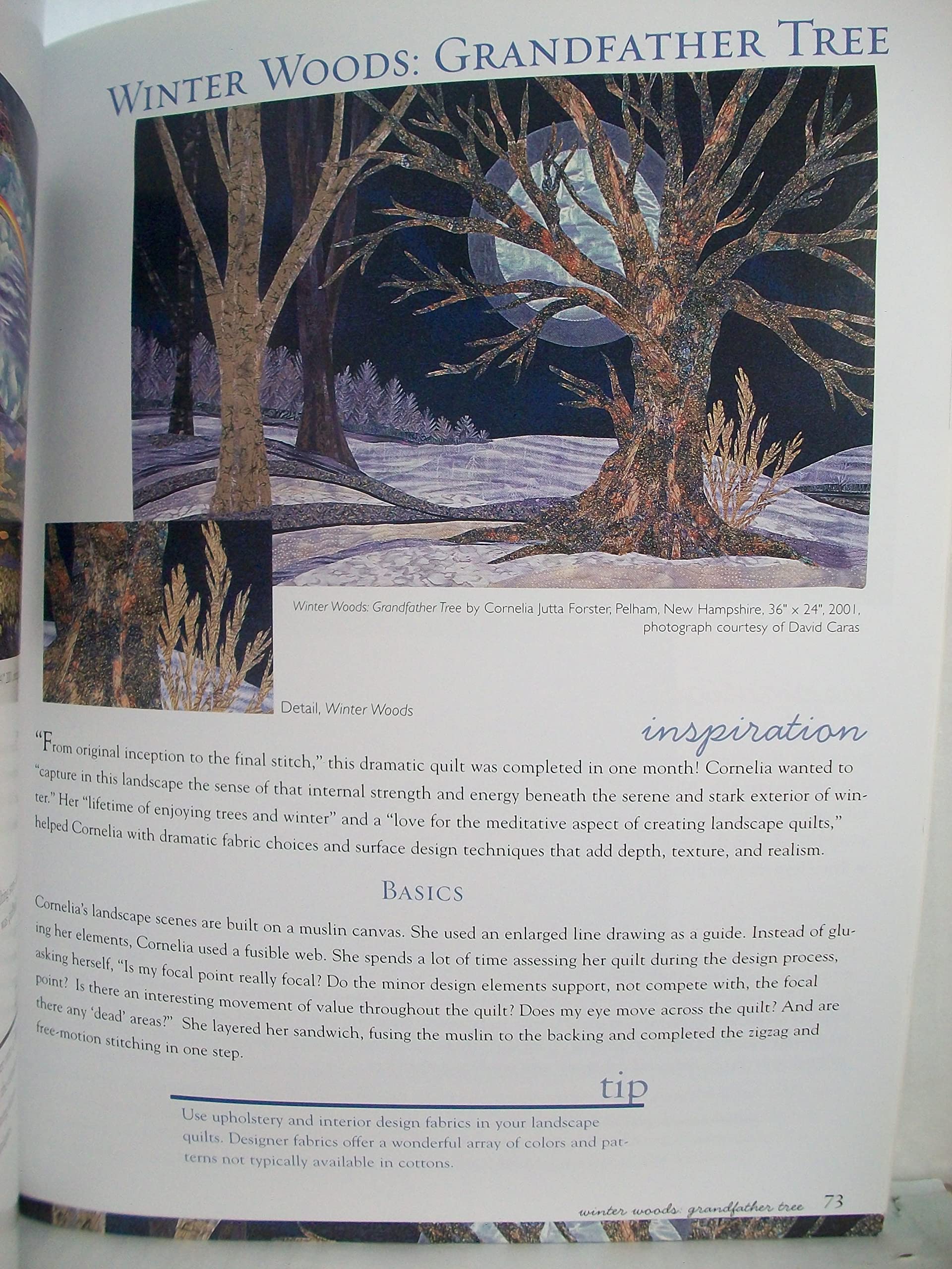 Luscious Landscapes: Simple Techniques for Dynamic Quilts used book depot