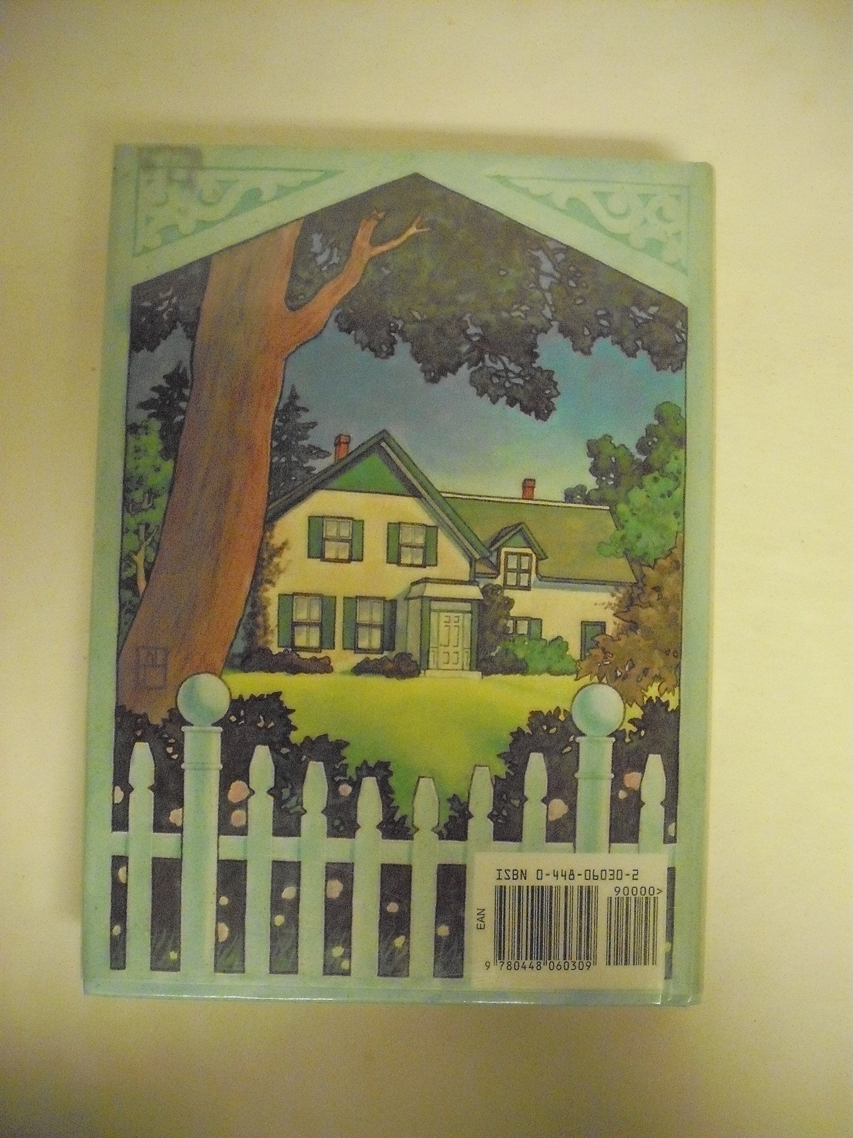Anne of Green Gables (Illustrated Junior Library) used book depot
