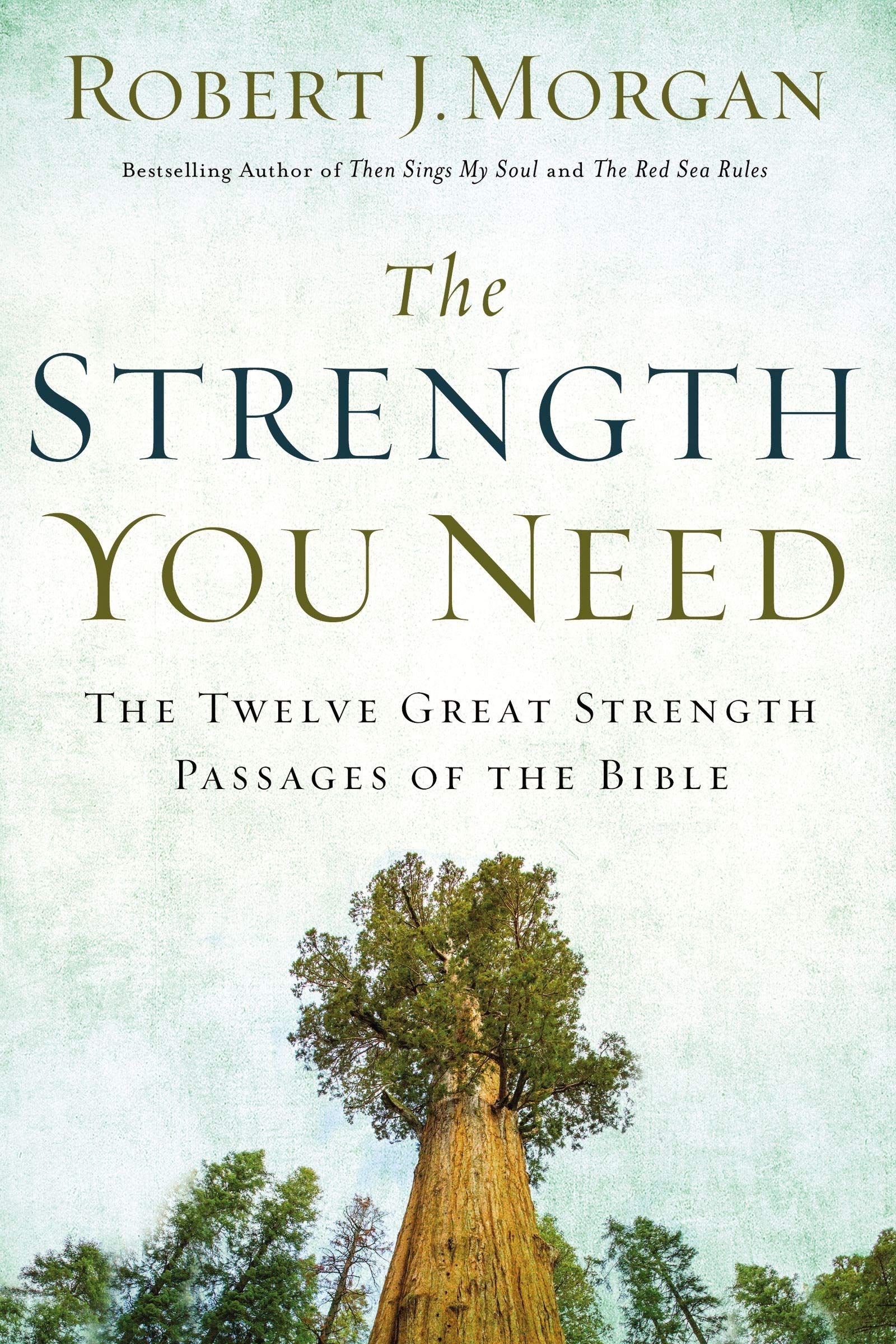 The Strength You Need: The Twelve Great Strength Passages of the Bible used book depot