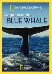 Kingdom of Blue Whale used book depot