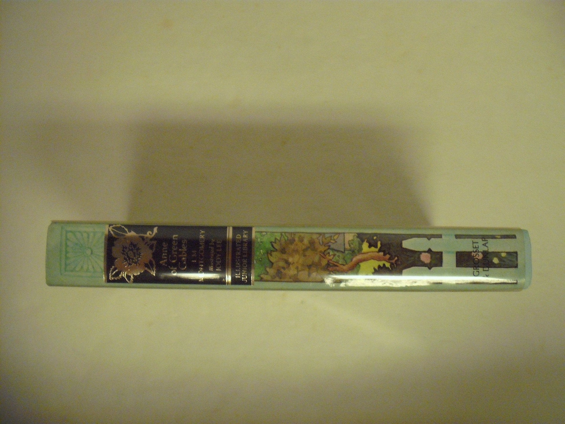 Anne of Green Gables (Illustrated Junior Library) used book depot