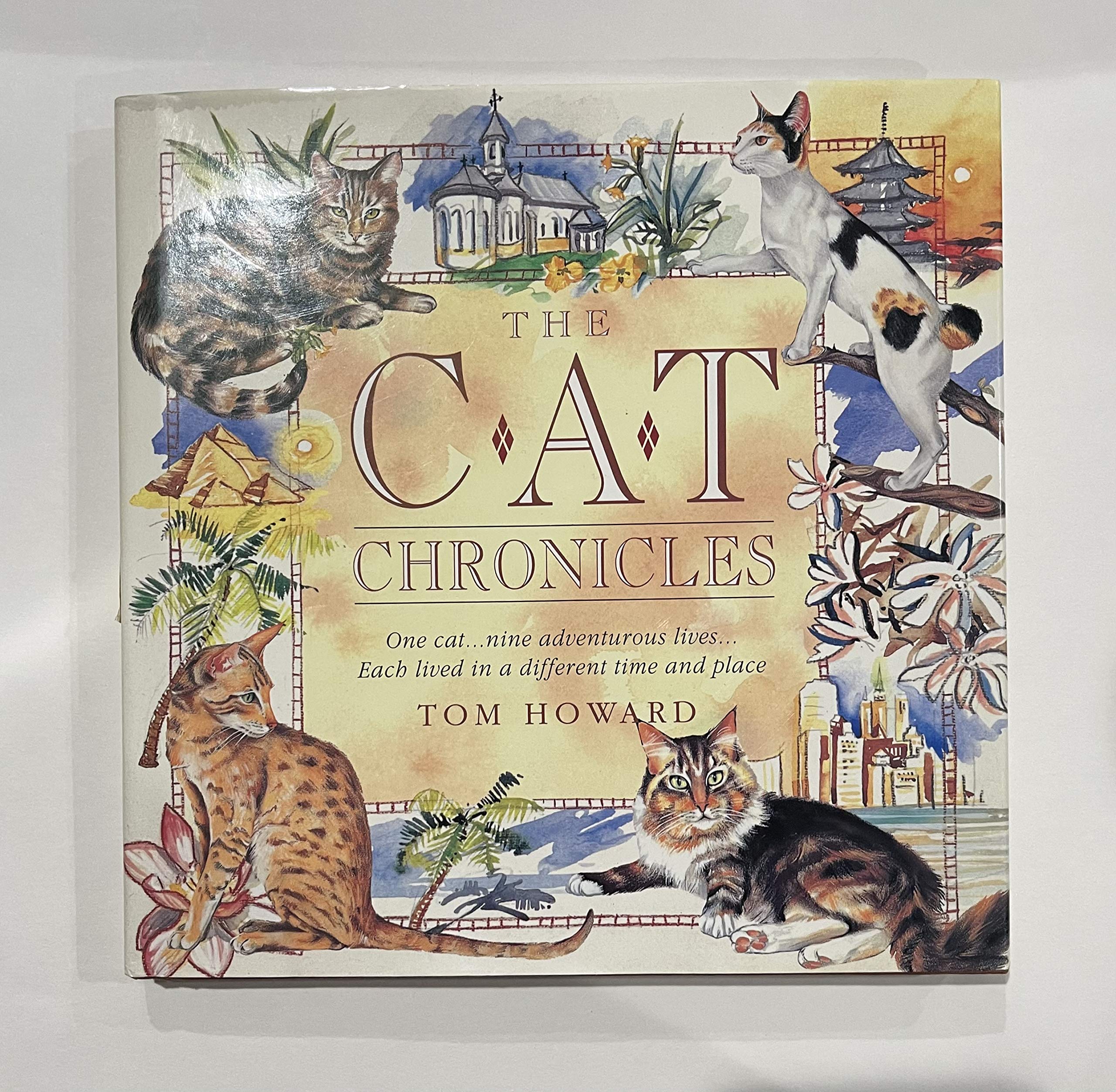 The Cat Chronicles: One Cat...Nine Adventurous Lives...Each Lived in a Different Time and Place