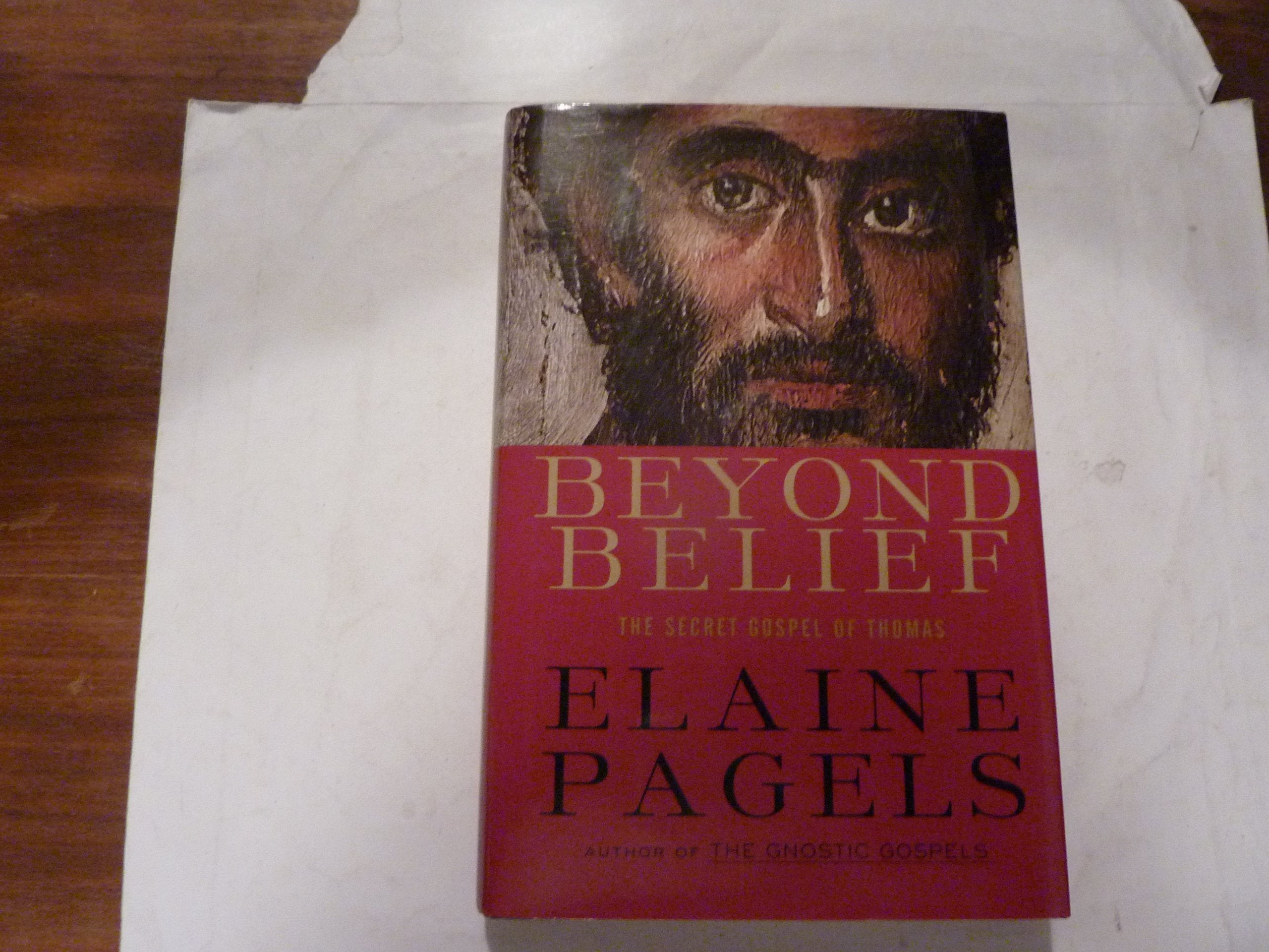 Beyond Belief: The Secret Gospel of Thomas used book depot