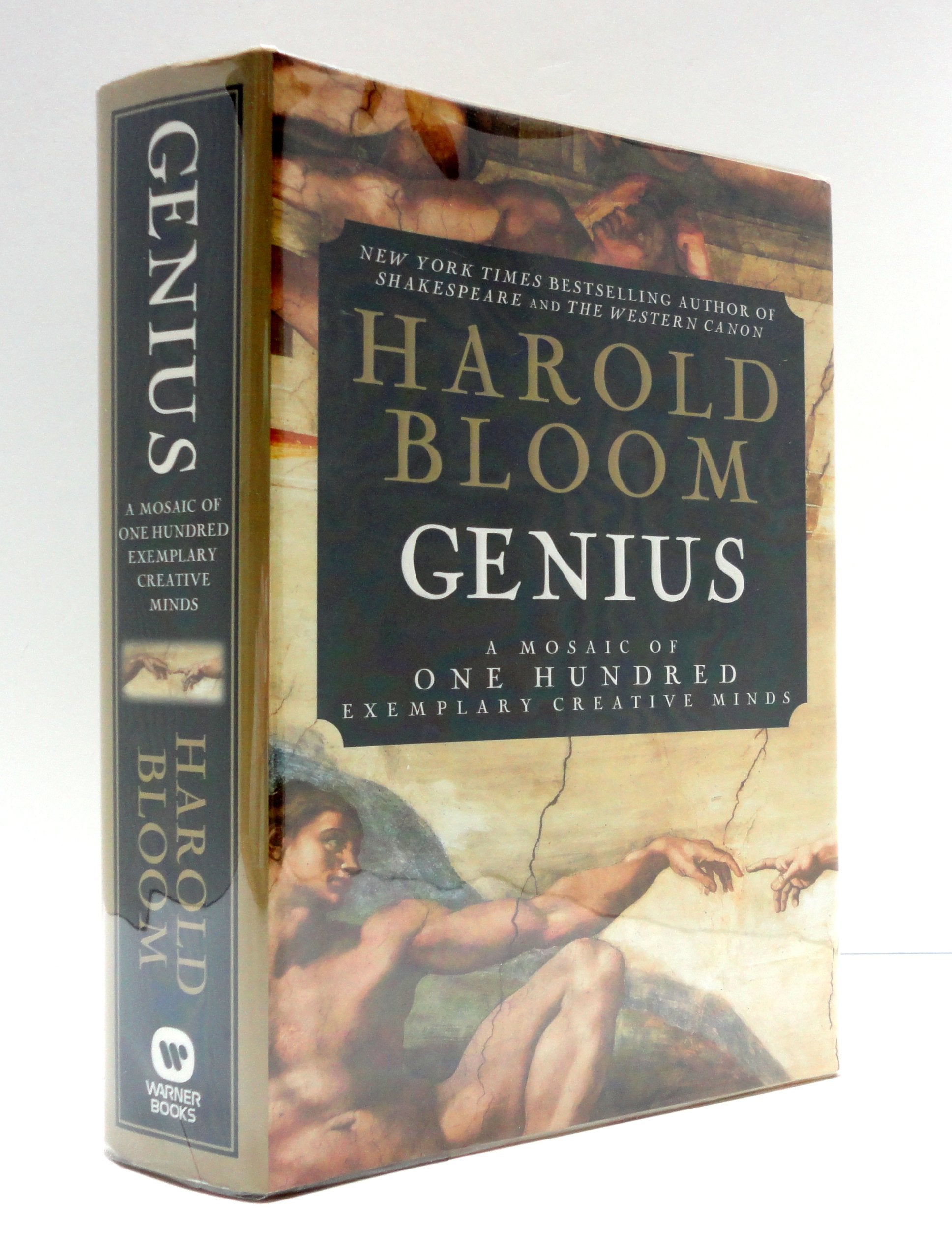 Genius: A Mosaic of One Hundred Exemplary Creative Minds used book depot