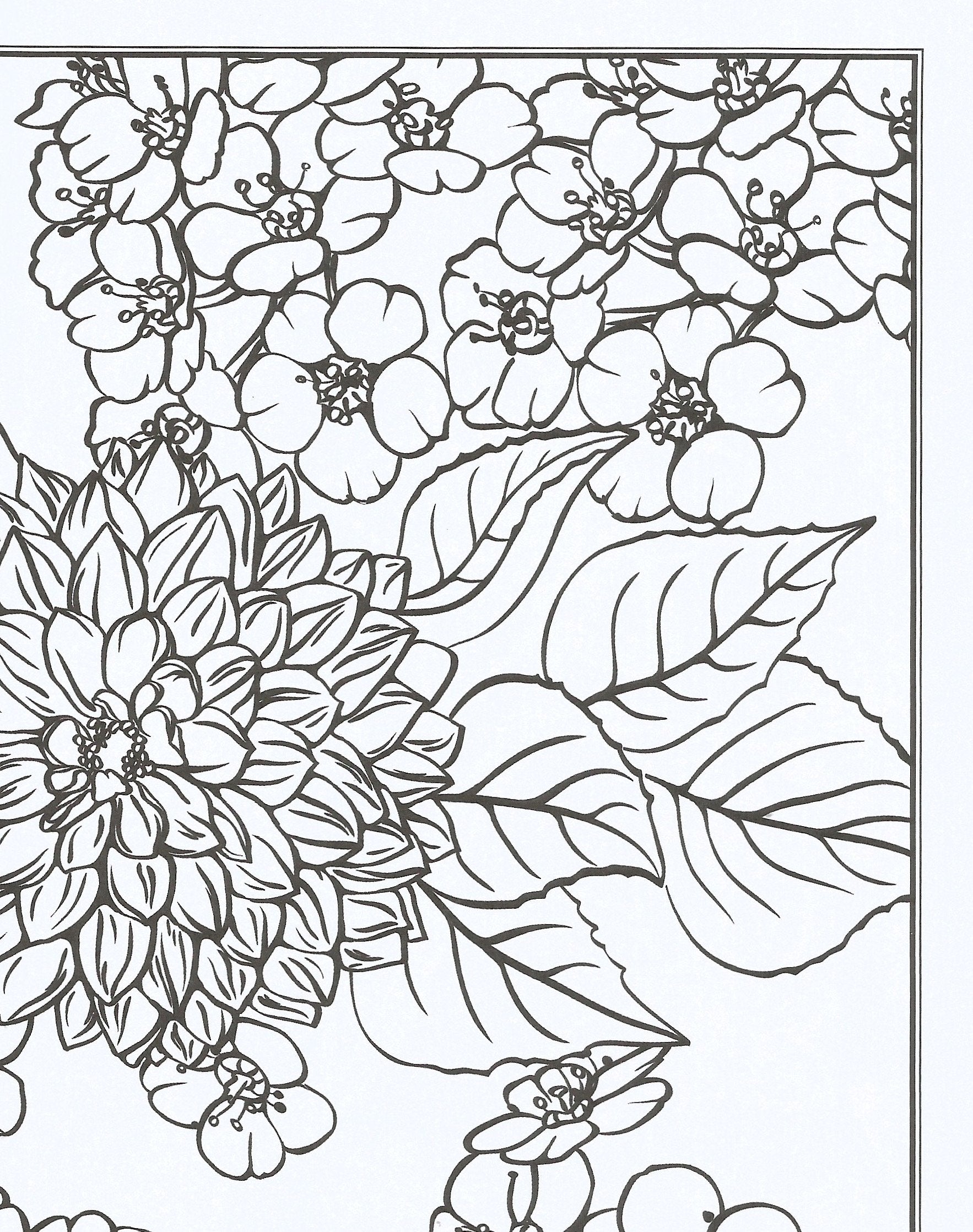 Flowers Coloring Book: Beautiful Pictures from the Garden of Nature (Chartwell Coloring Books, 2) used book depot