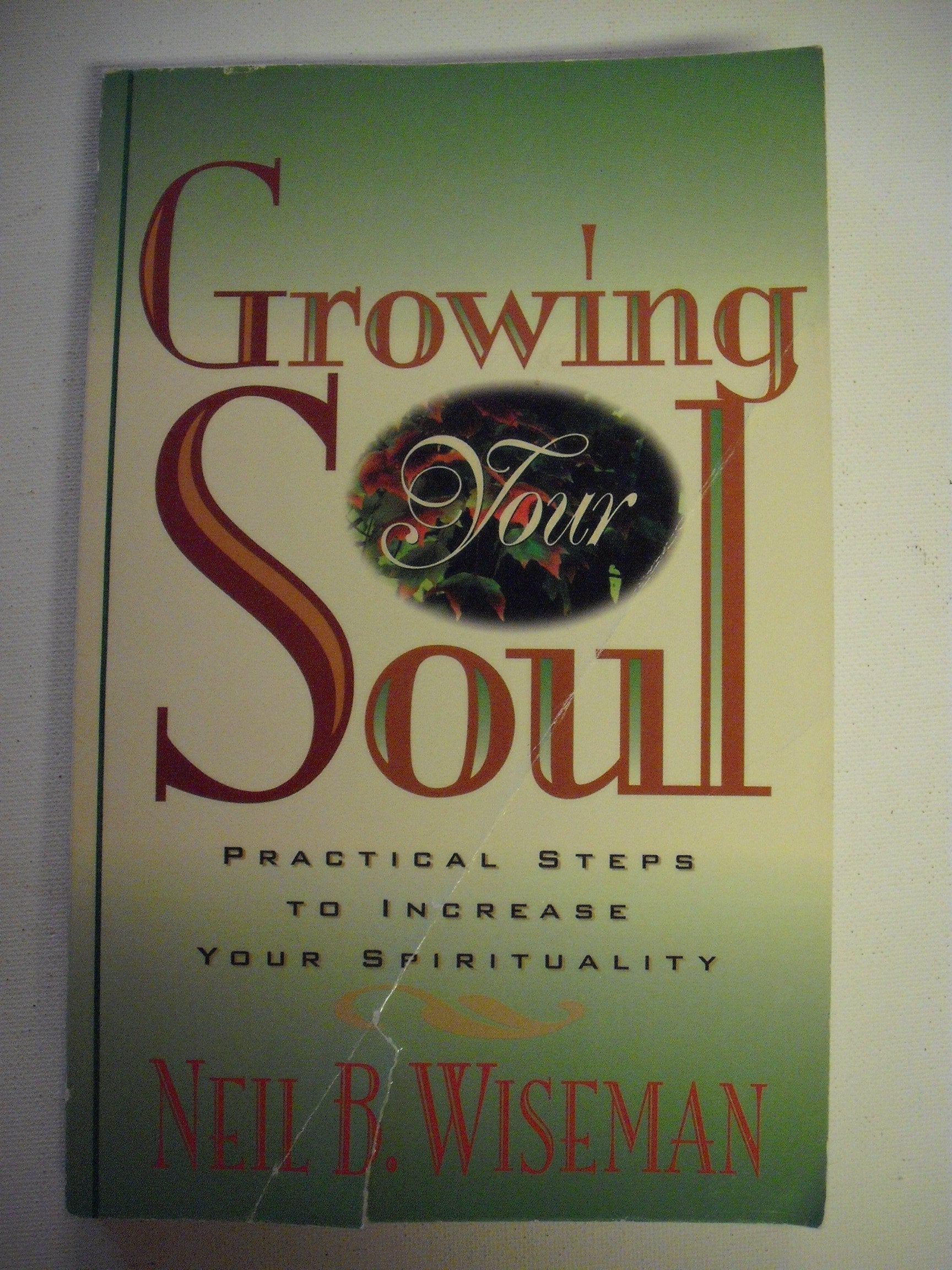 Growing Your Soul : Practical Steps to Increase Your Spirituality used book depot