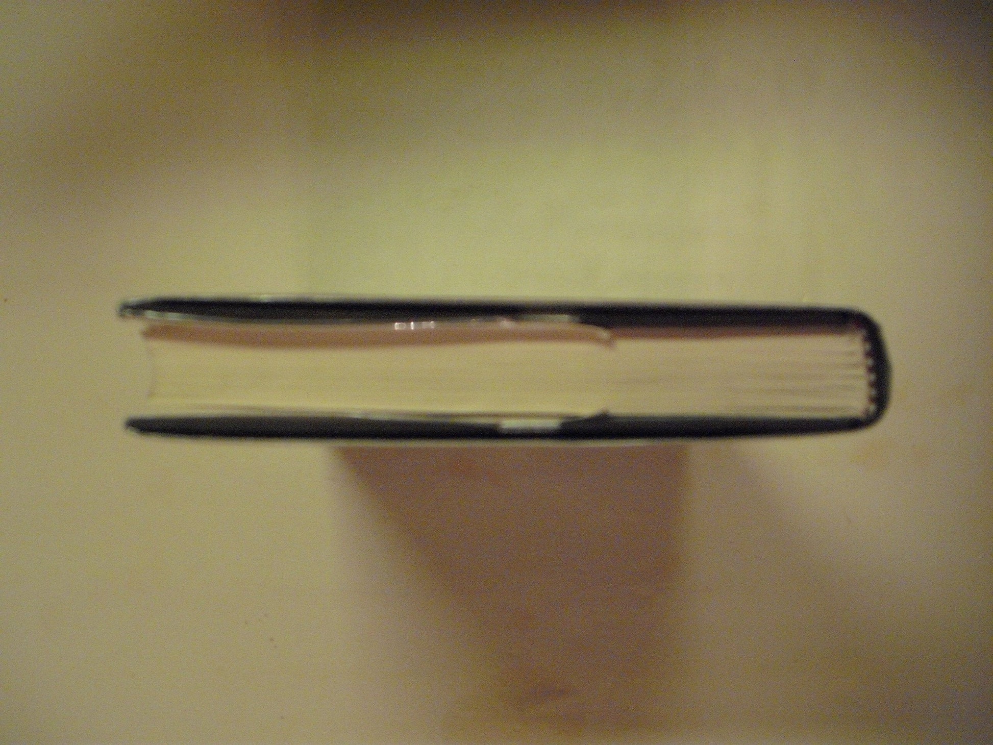 Blood of Victory: A Novel used book depot