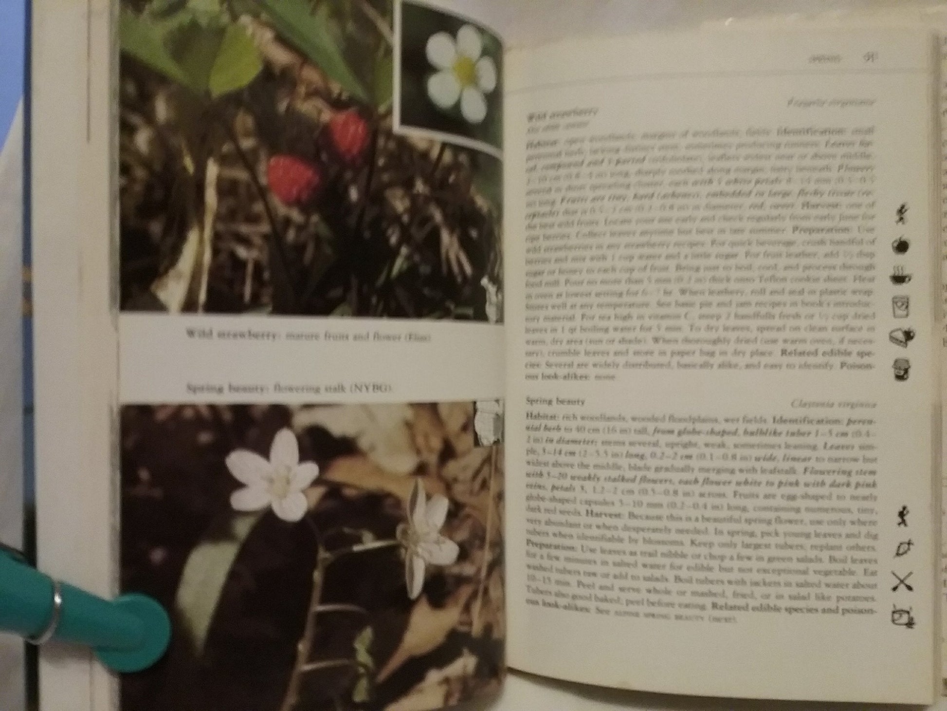 Field guide to North American edible wild plants used book depot