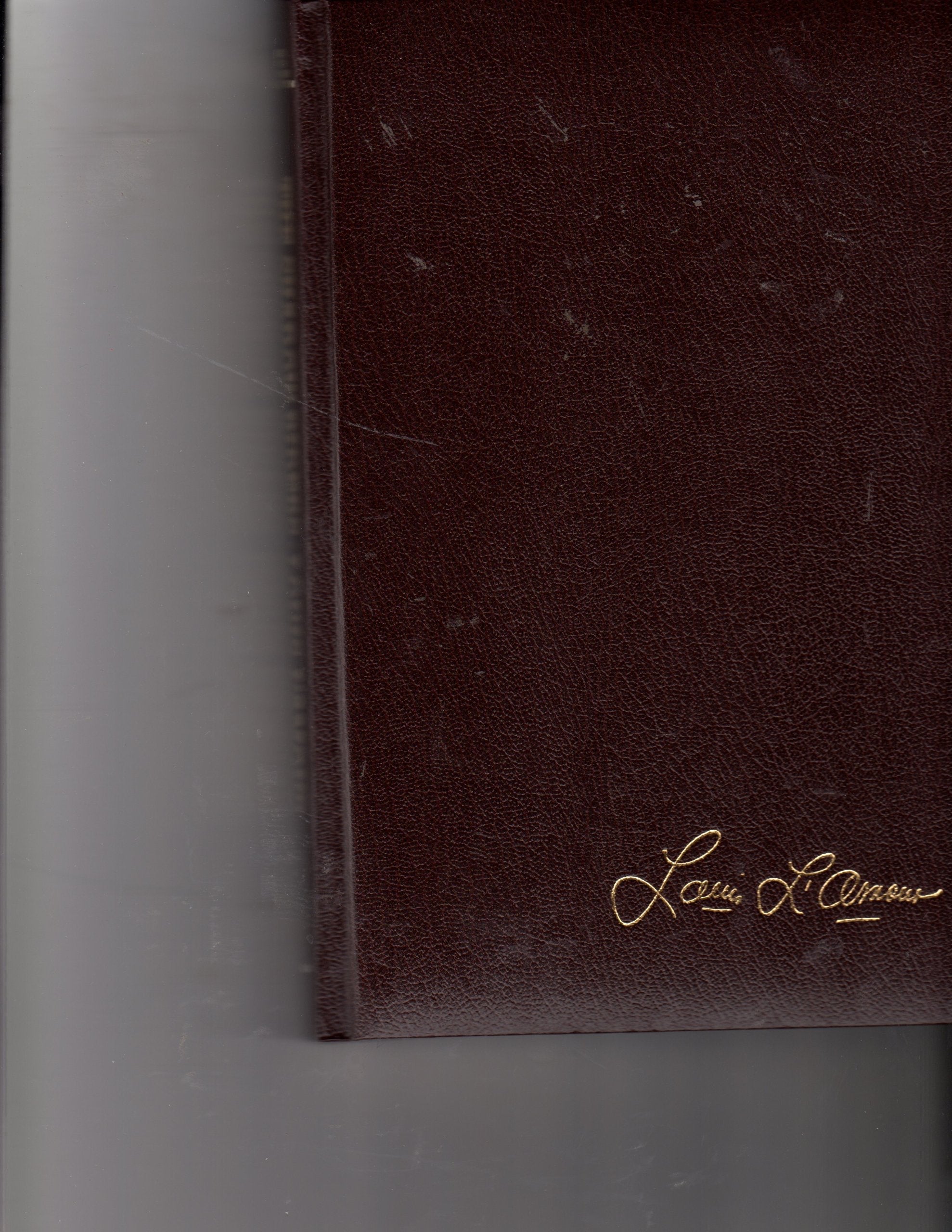 Shadow Riders Lamour Collection used book depot