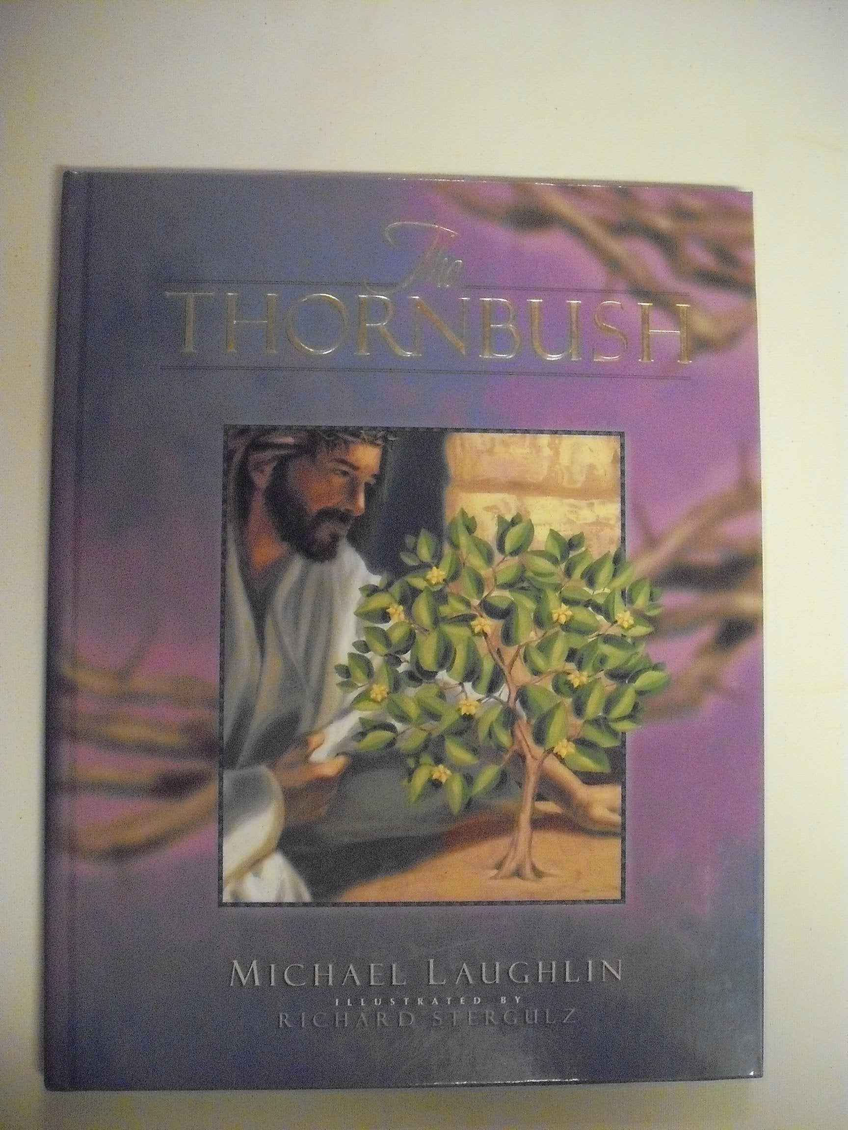 The Thornbush used book depot