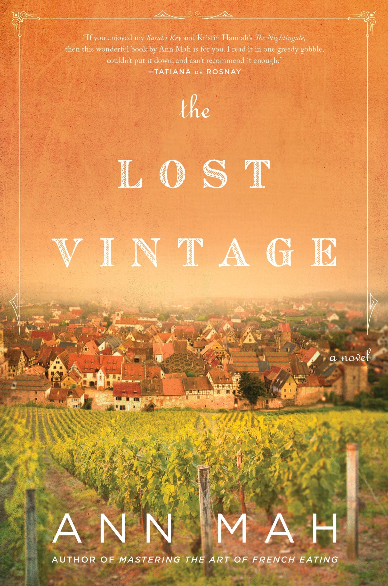 The Lost Vintage: A Novel used book depot