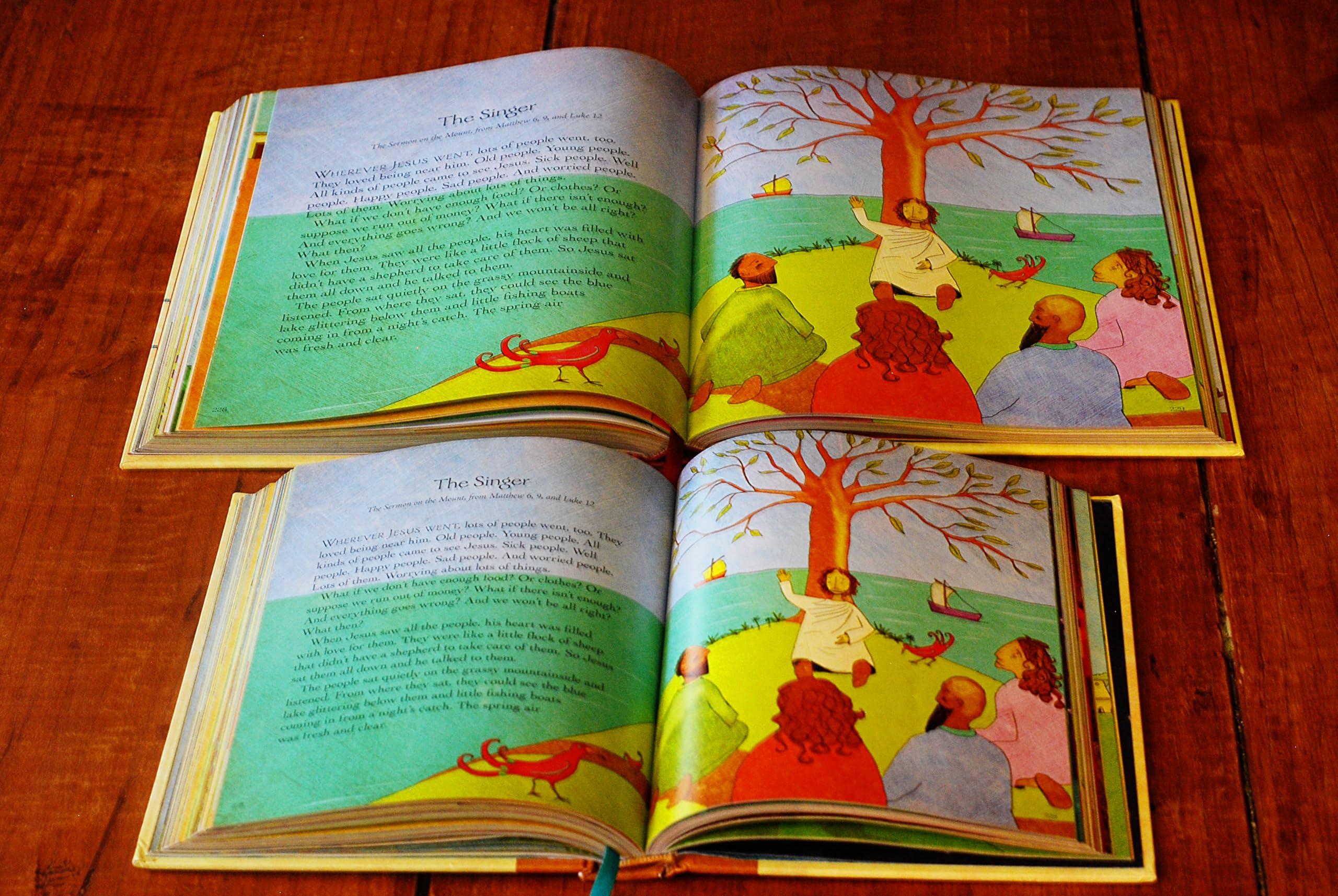 The Jesus Storybook Bible, Read-Aloud Edition: Every Story Whispers His Name used book depot
