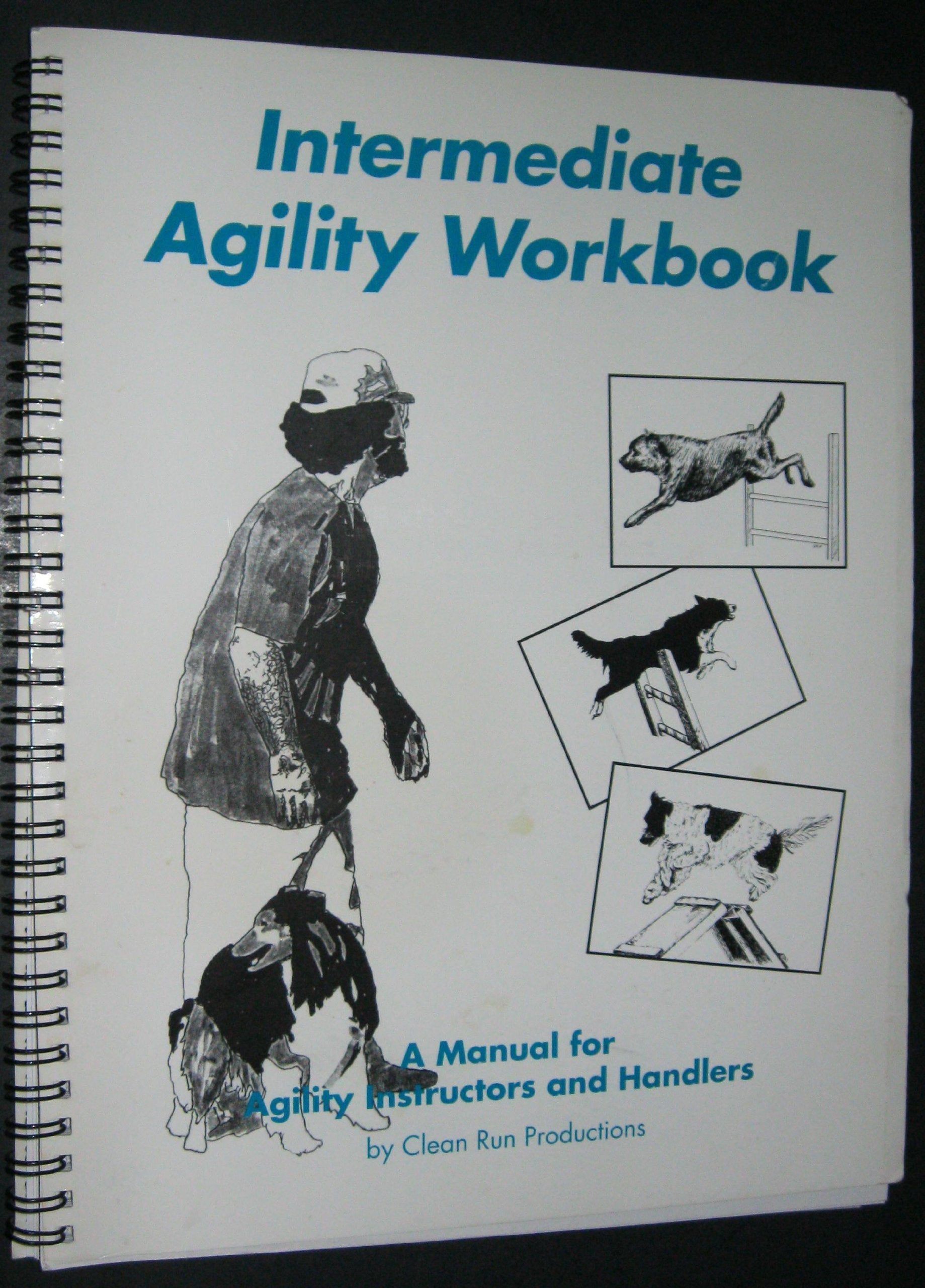 Intermediate Agility Workbook used book depot