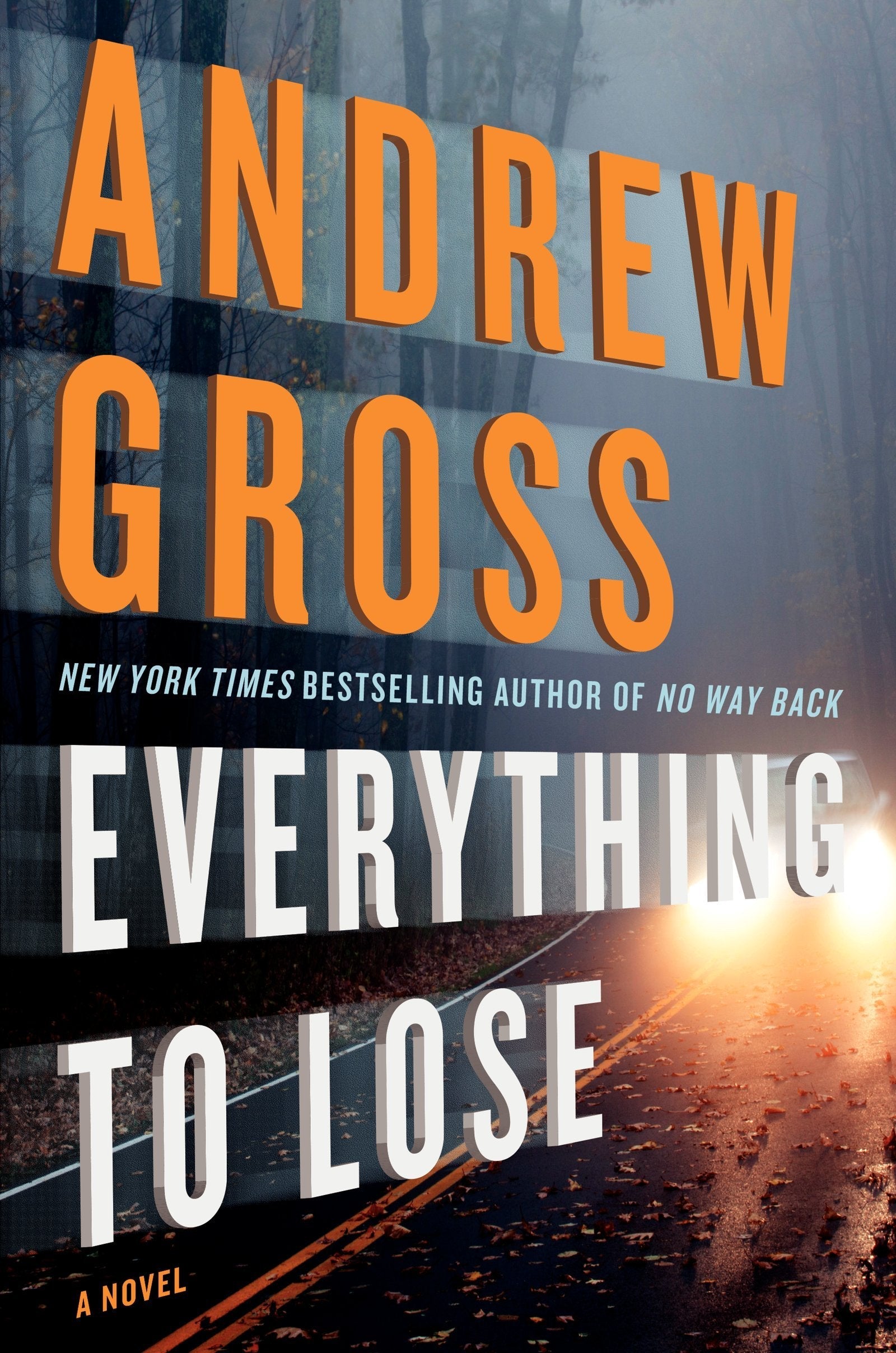Everything to Lose: A Novel used book depot