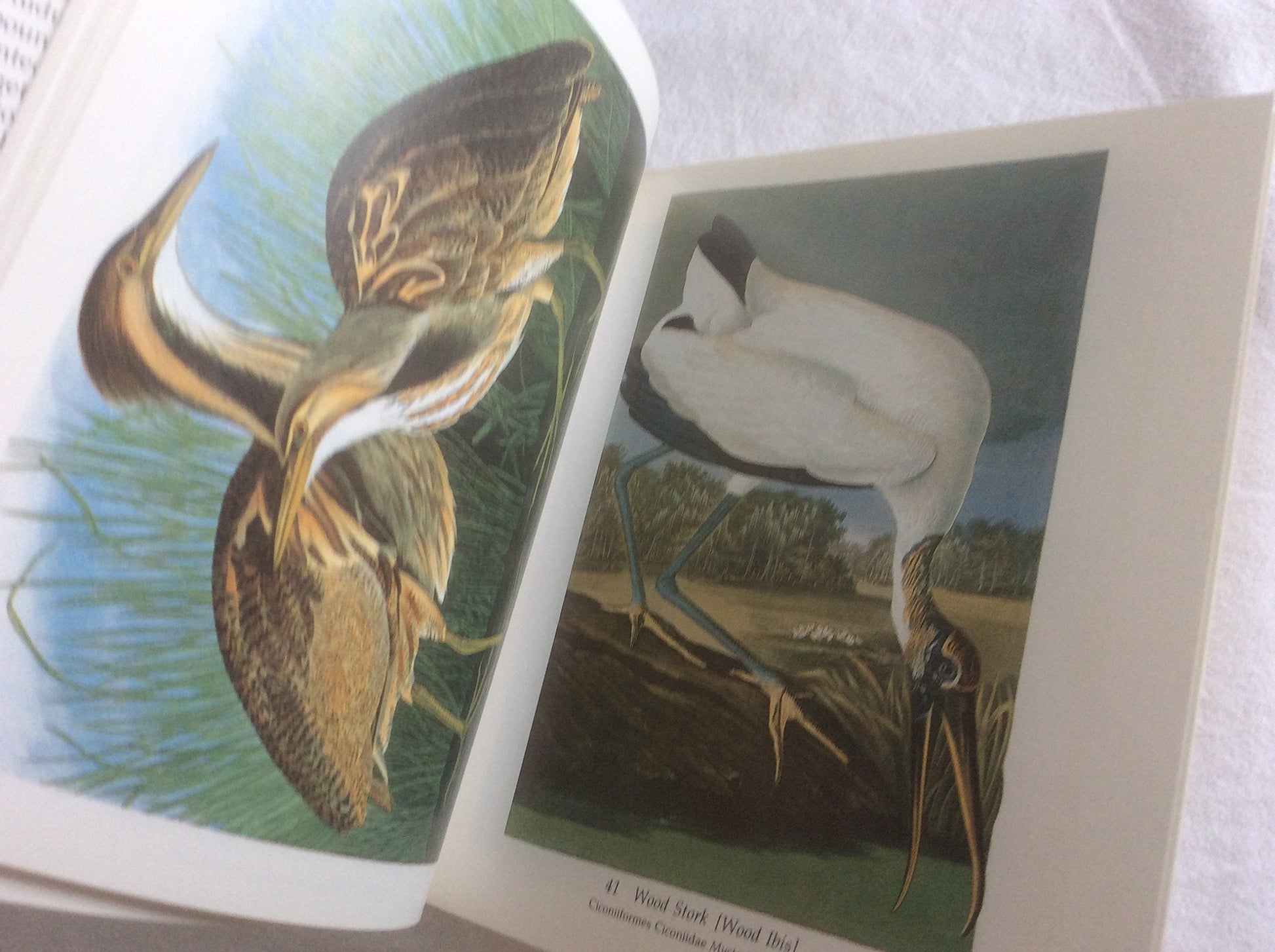 Audubon's Birds of America : The Audubon Society Baby Elephant Folio (Tiny Folios) used book depot
