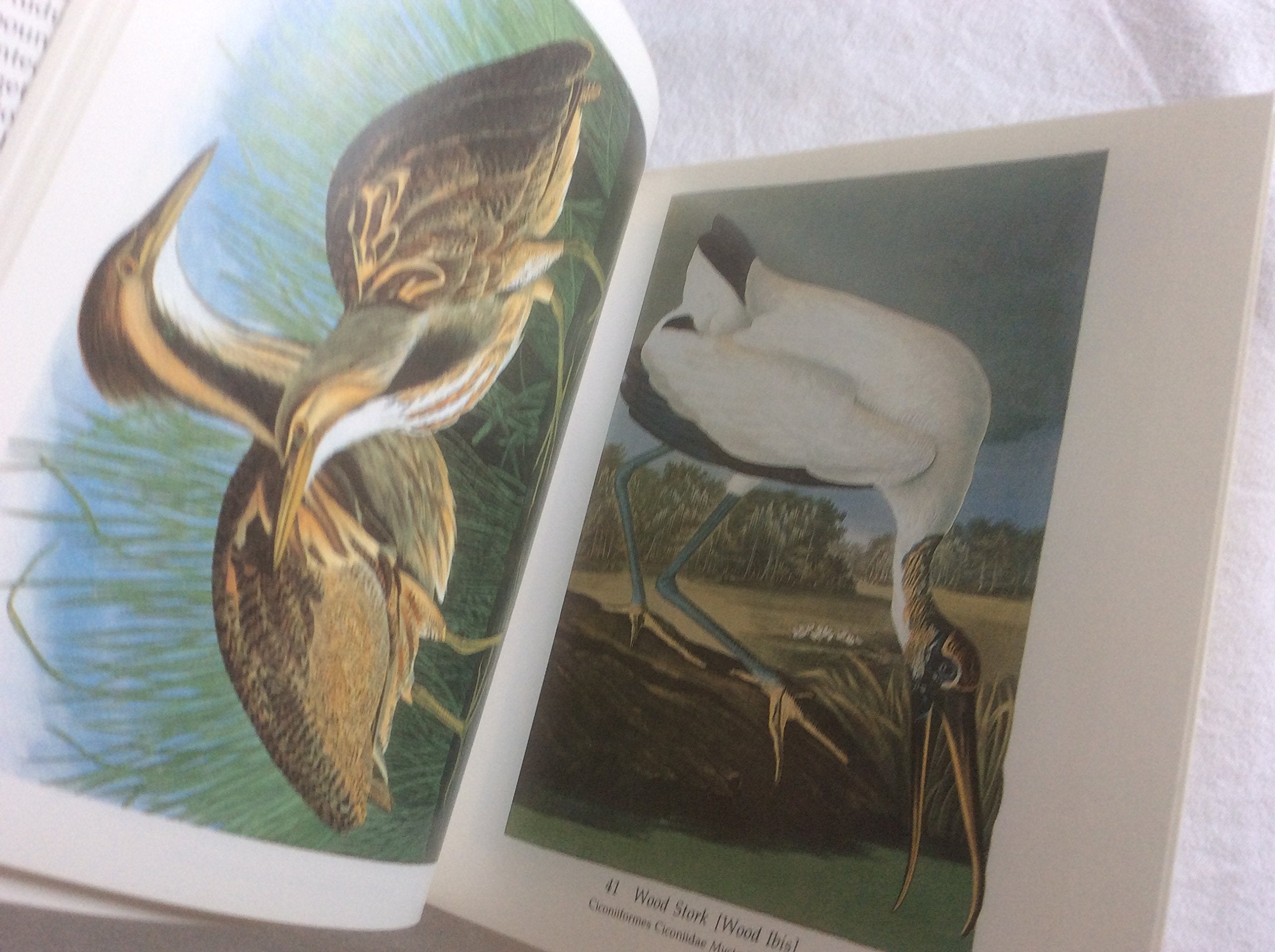 Audubon's Birds of America : The Audubon Society Baby Elephant Folio (Tiny Folios) used book depot