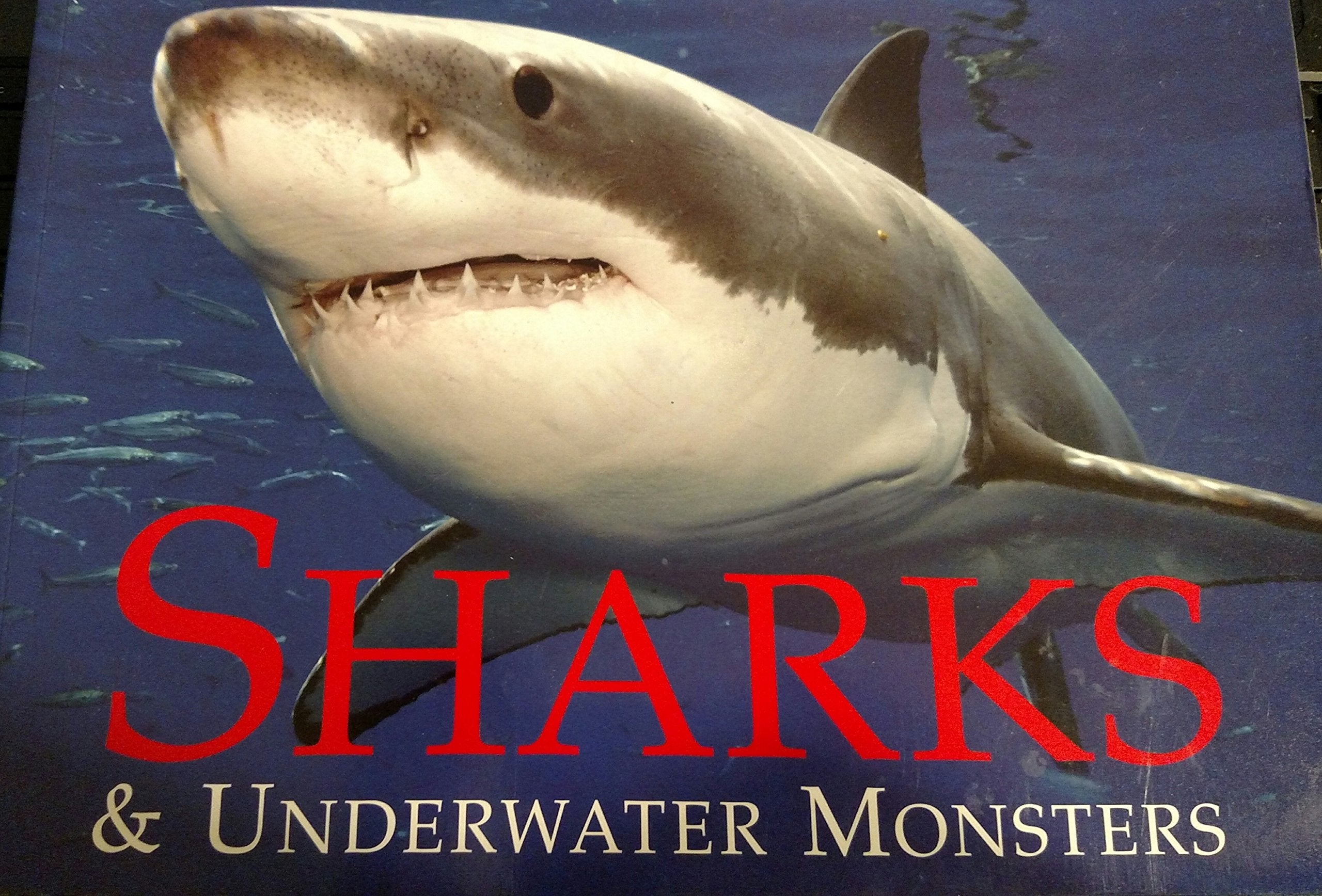 Sharks & Underwater Monsters used book depot