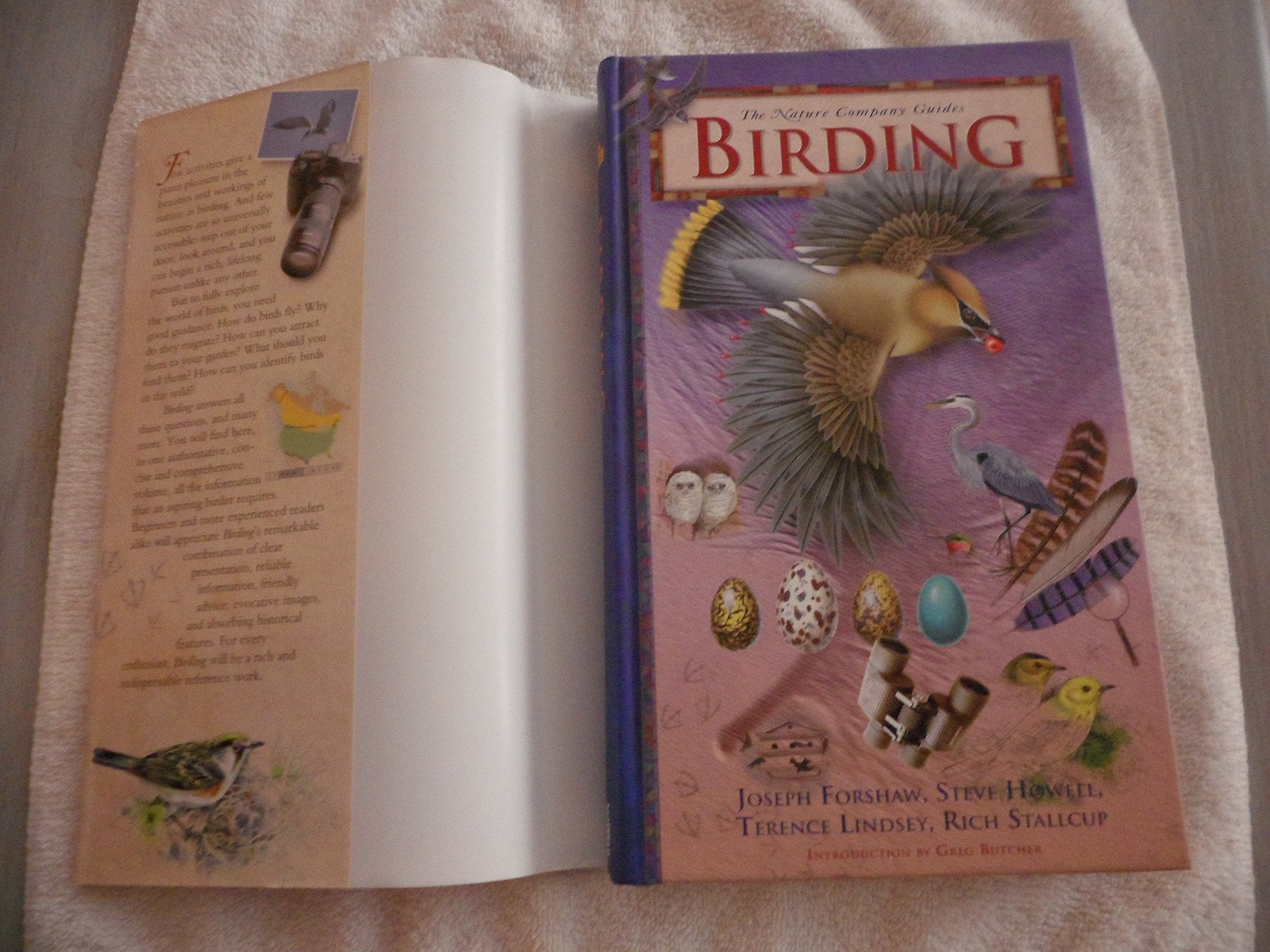 Birding (Nature Company Guides) used book depot