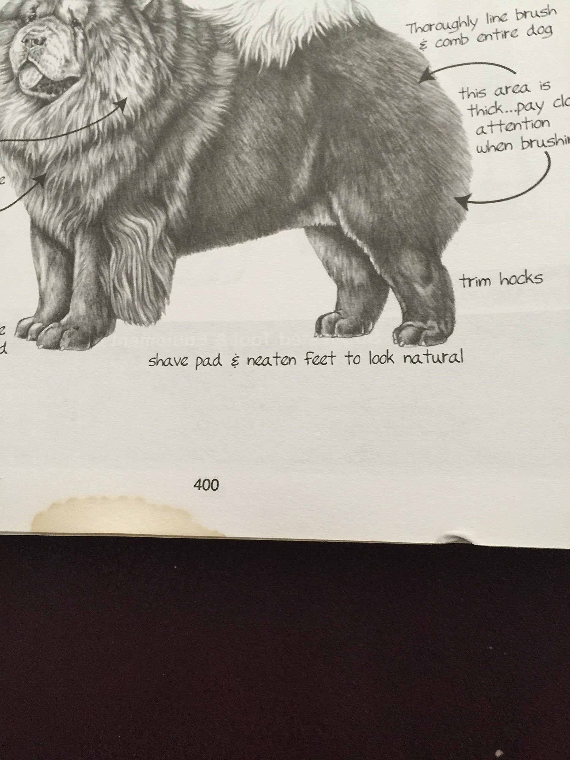 Notes From The Grooming Table by Melissa Verplank used book depot