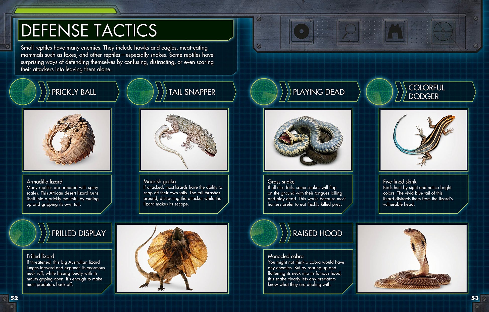 Everything You Need to Know About Snakes used book depot