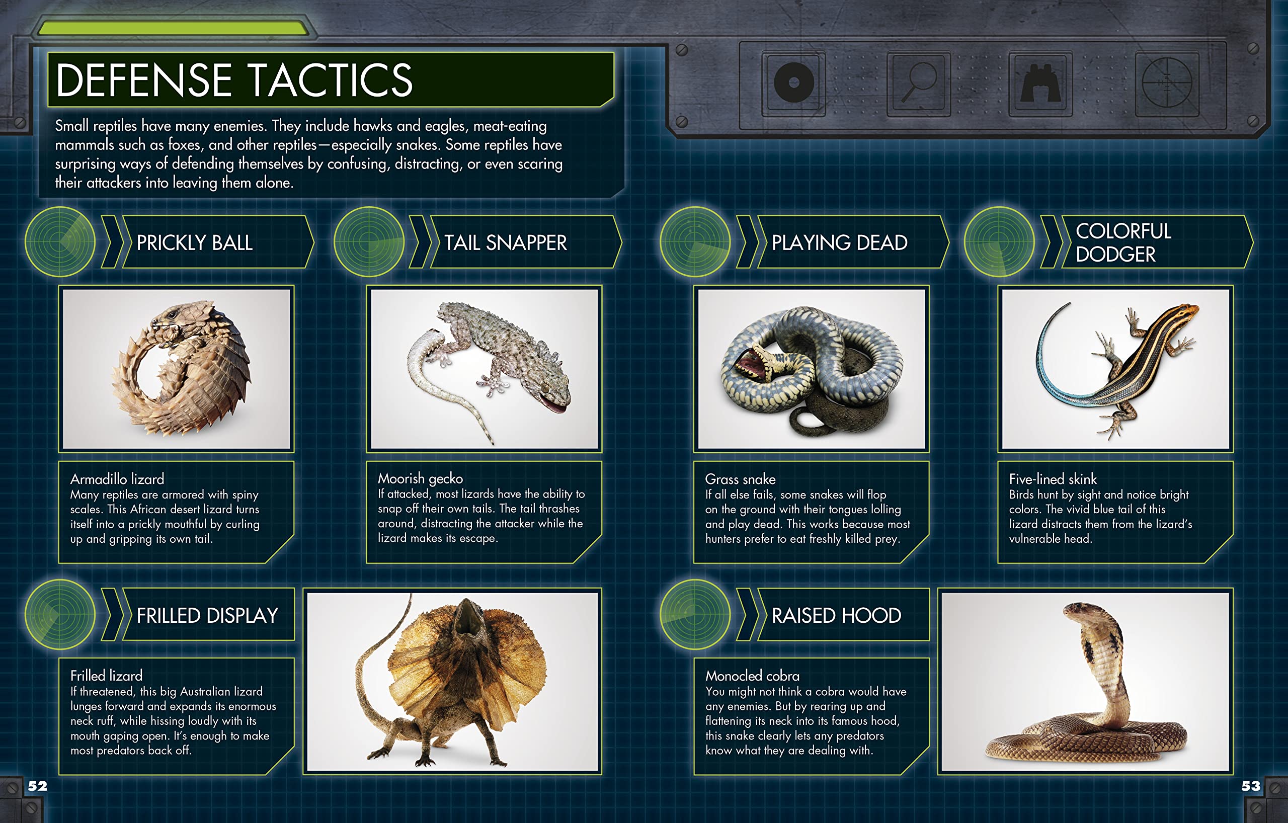 Everything You Need to Know About Snakes used book depot